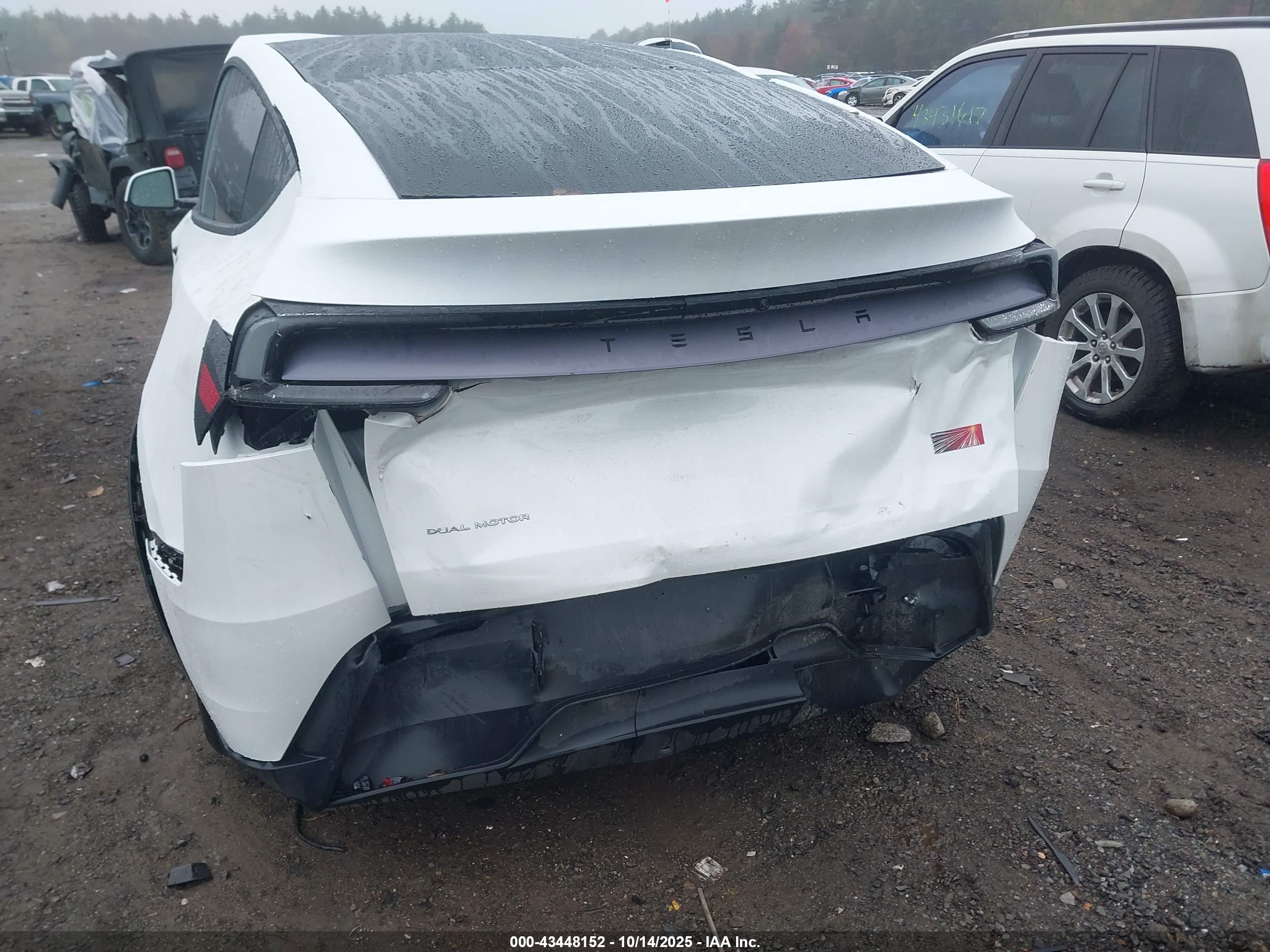 TESLA MODEL image 6