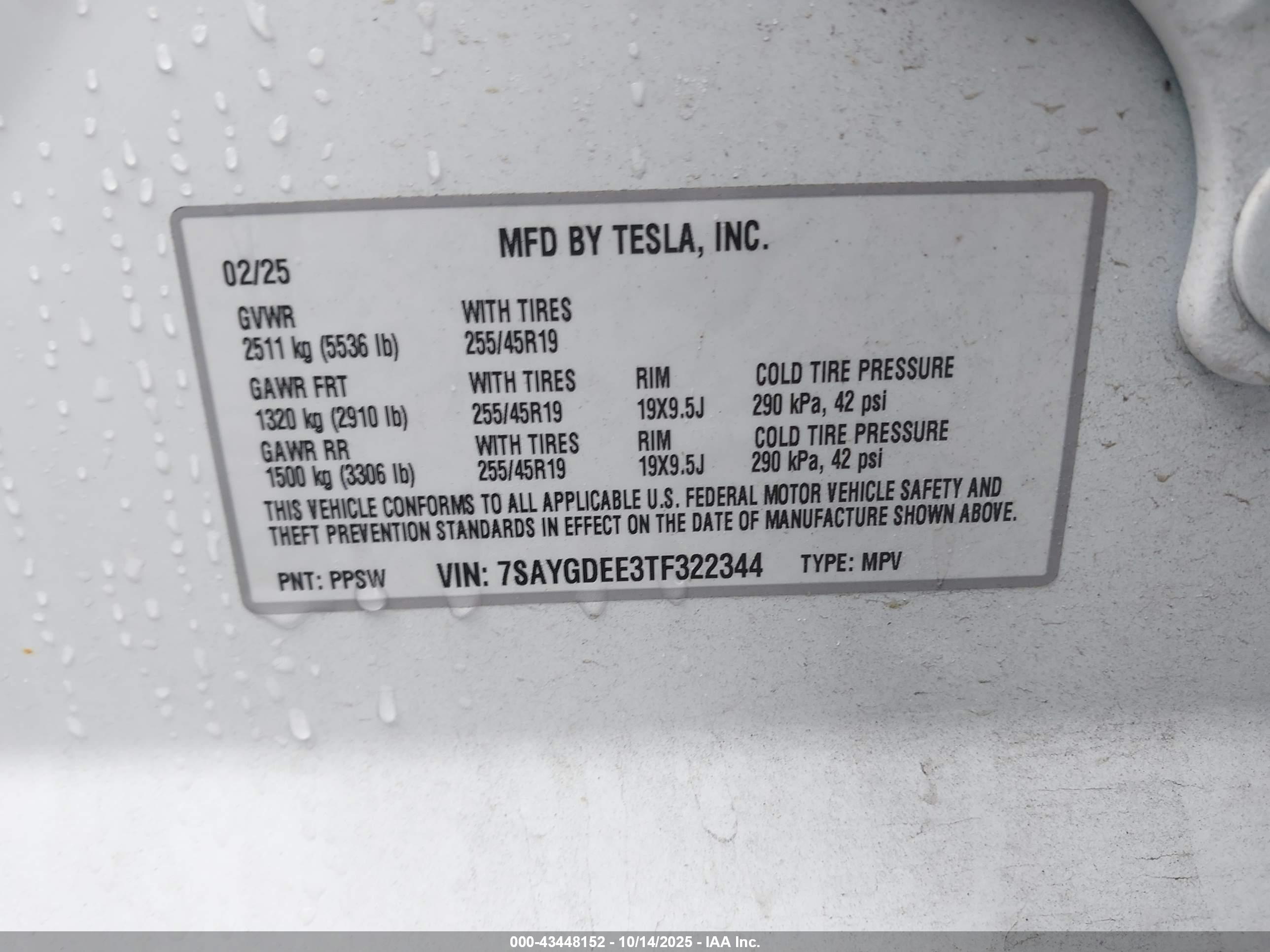 TESLA MODEL image 9