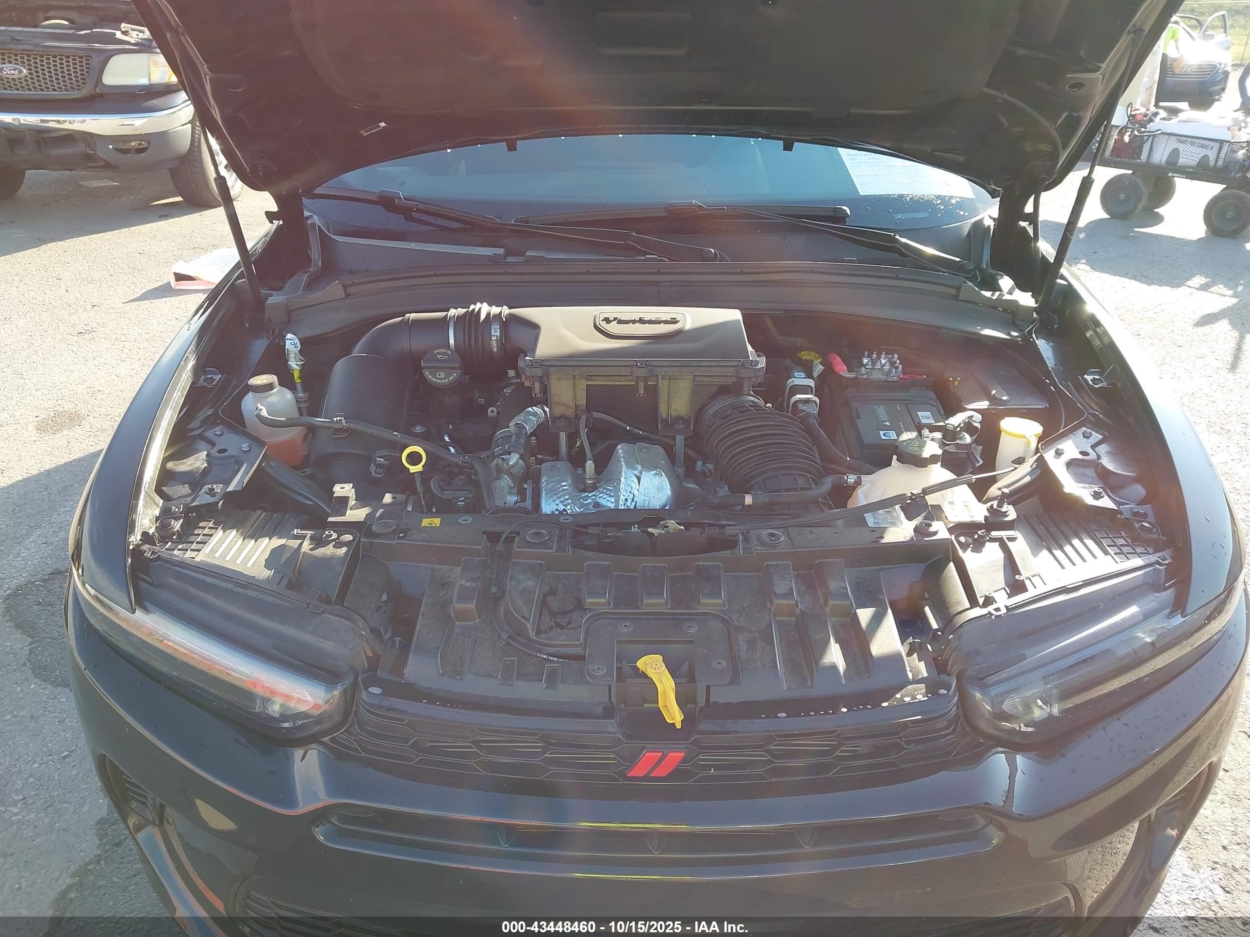 DODGE HORNET image 10