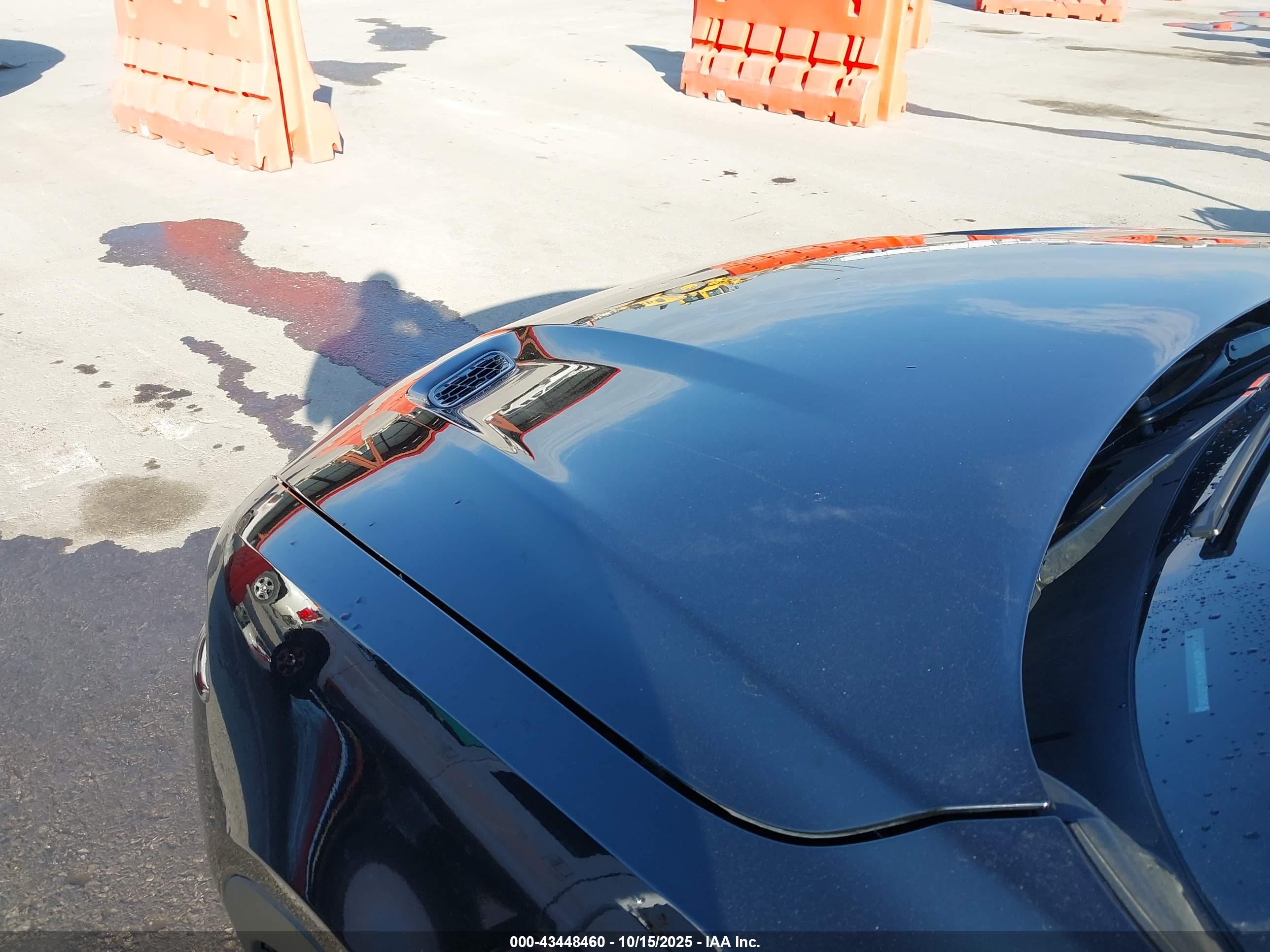 DODGE HORNET image 6
