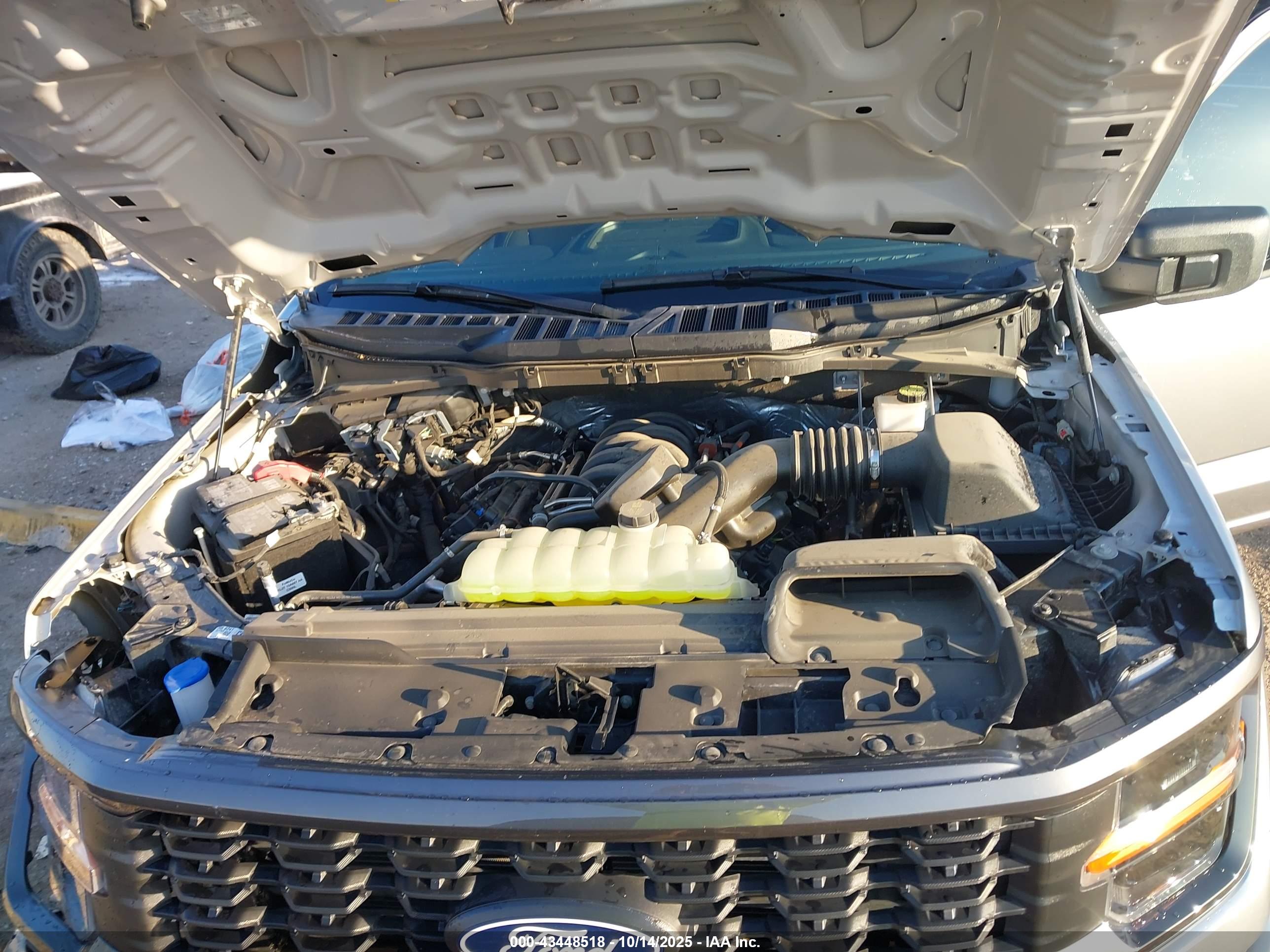 FORD F-150 image 10