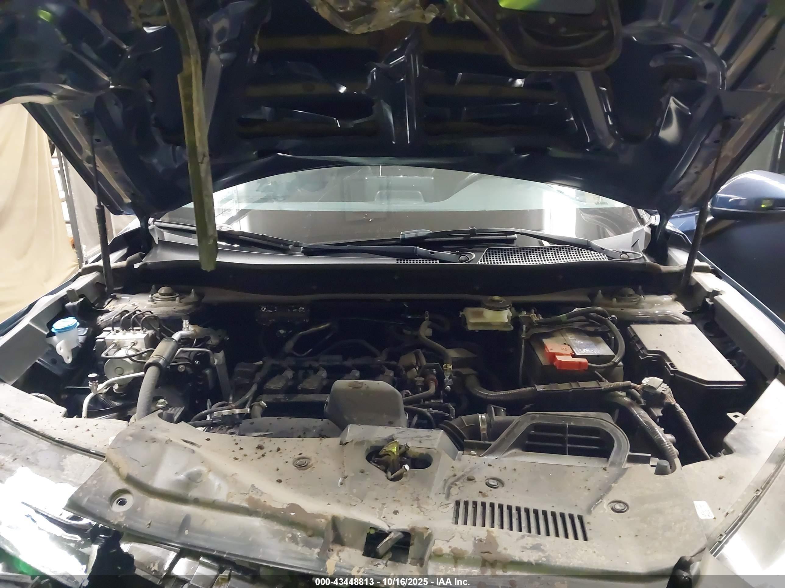 HONDA CR-V image 10