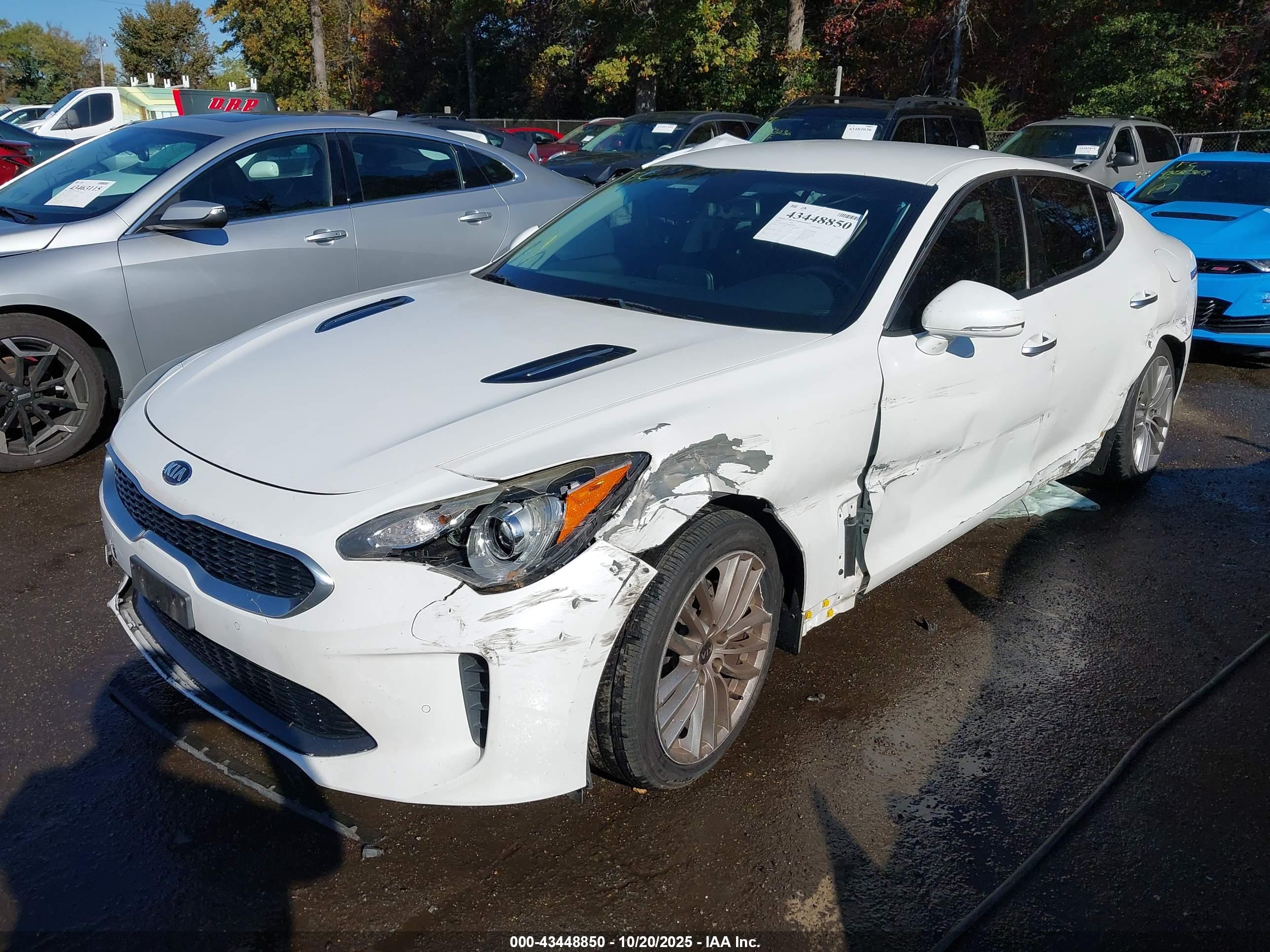 KIA STINGER image 6