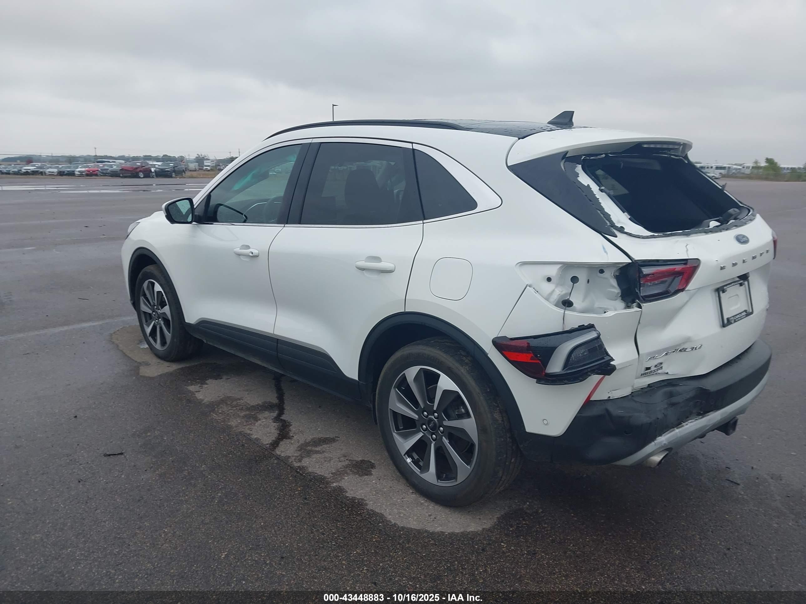 FORD ESCAPE image 3