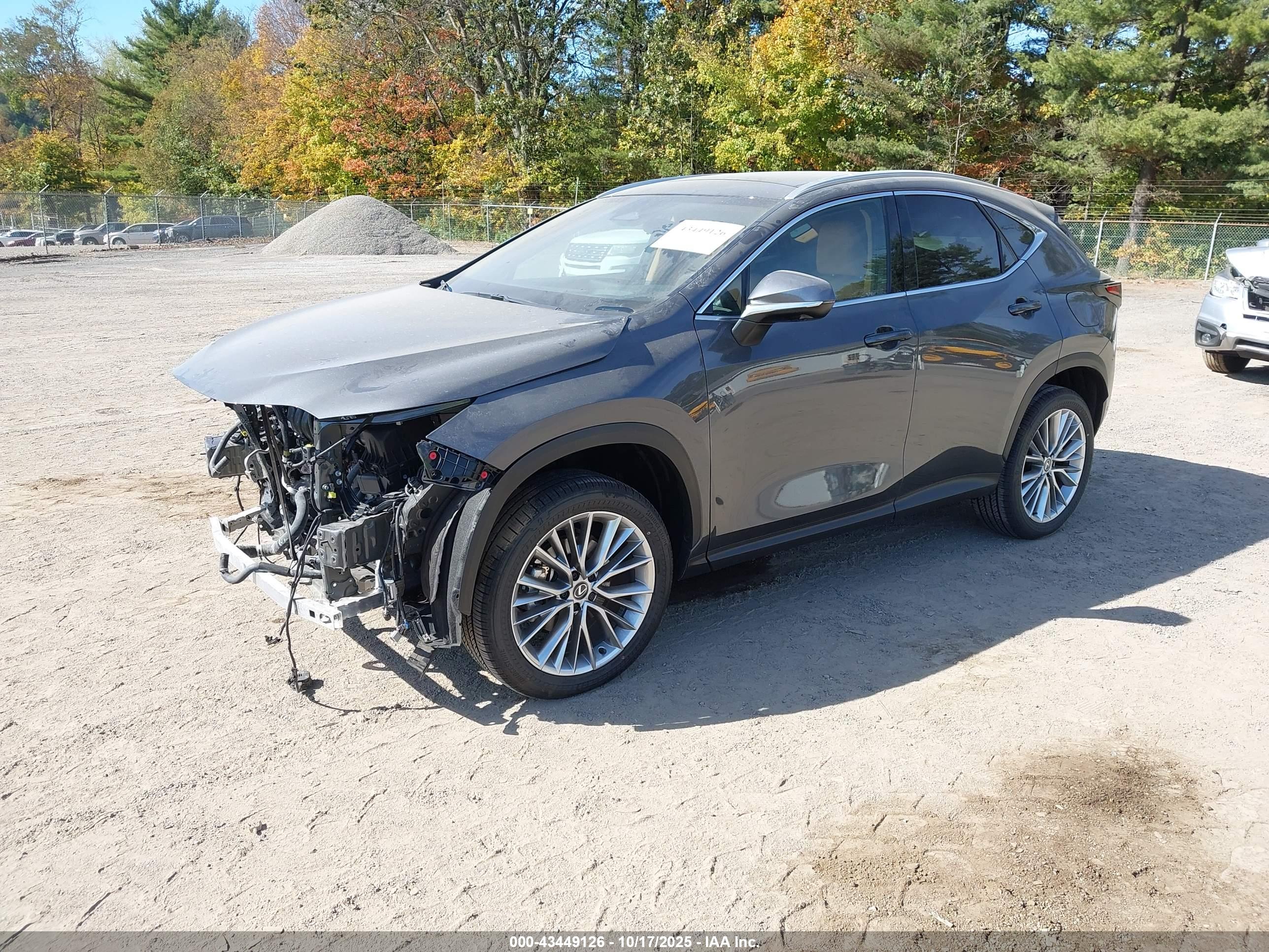 LEXUS NX image 2