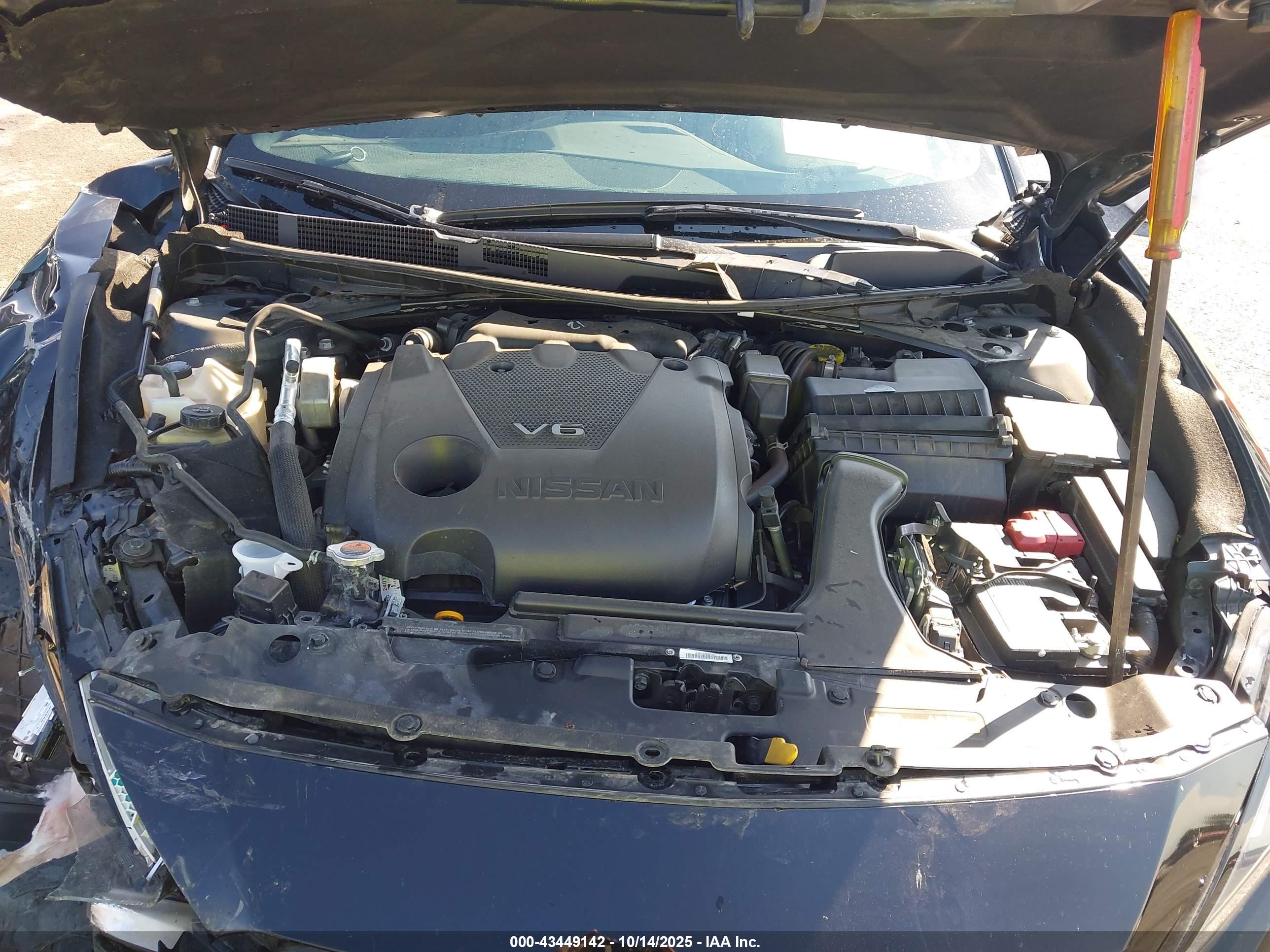 NISSAN MAXIMA image 10