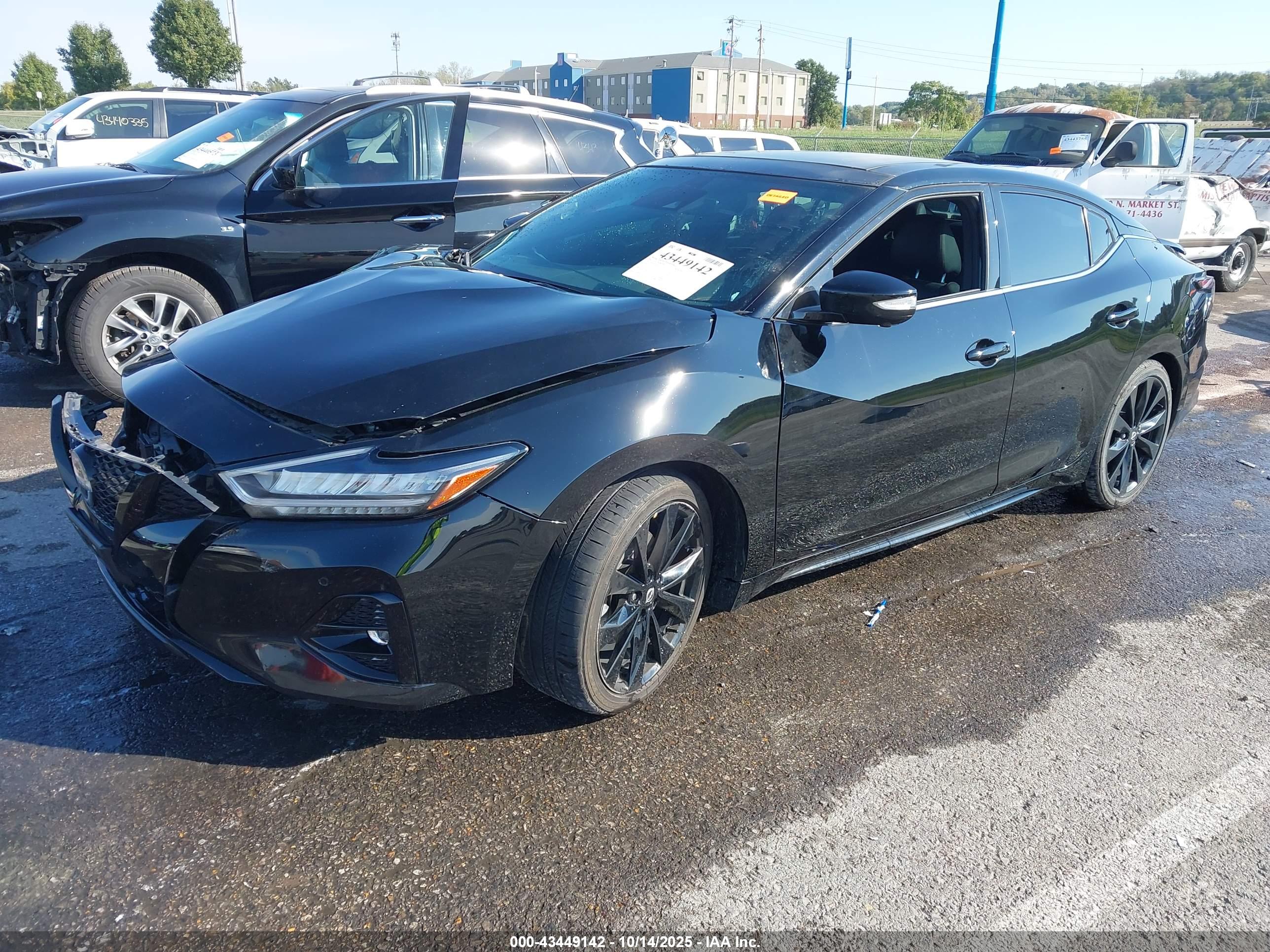 NISSAN MAXIMA image 2