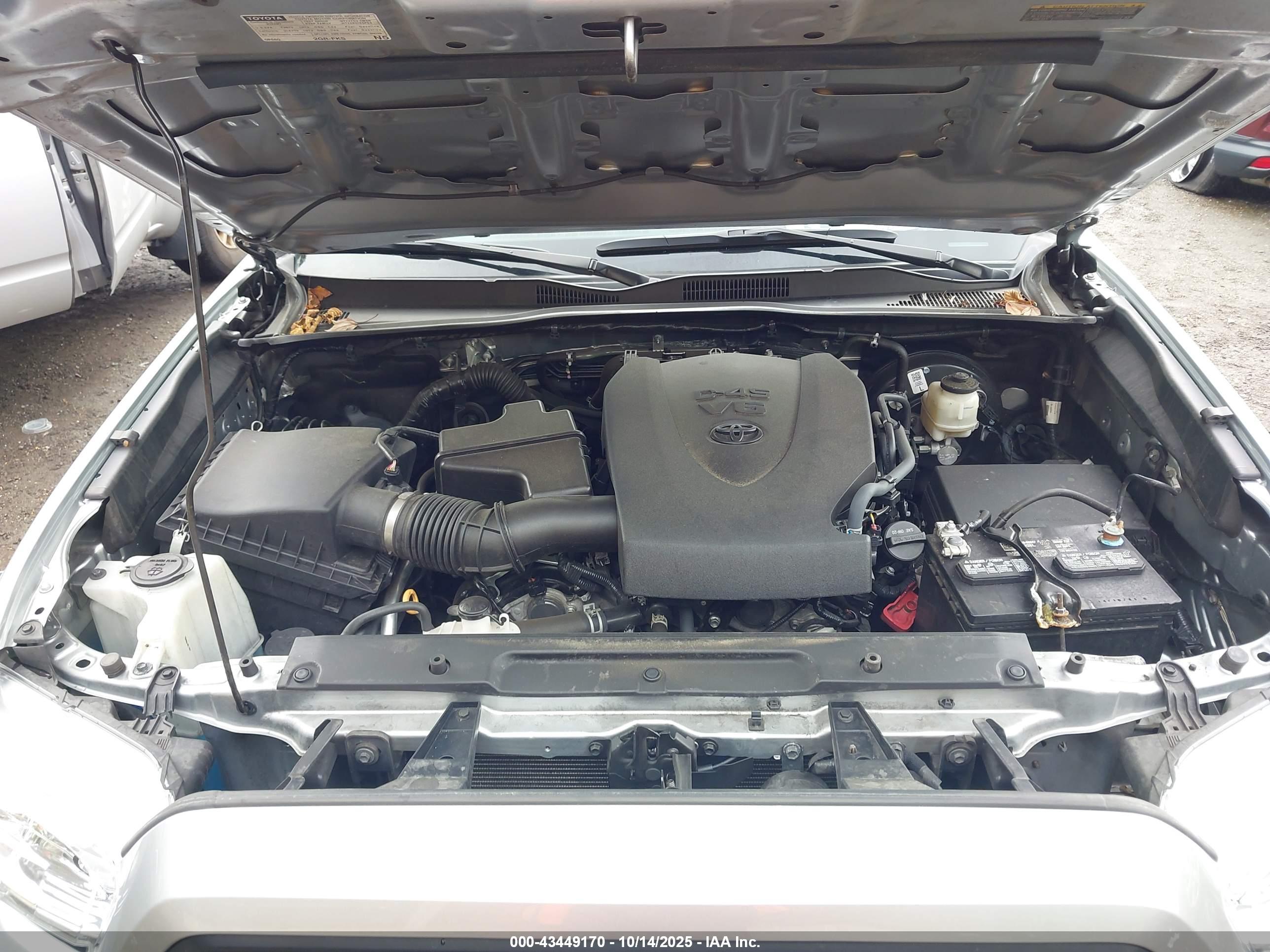 TOYOTA TACOMA image 10