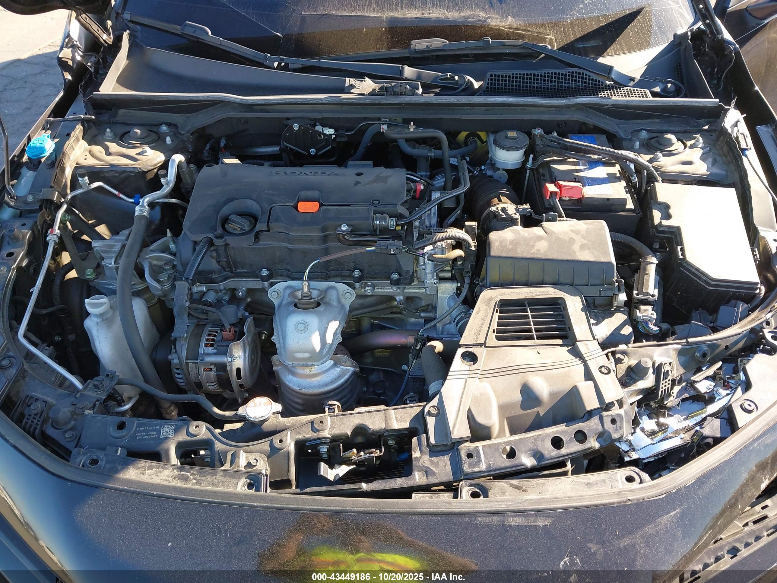 HONDA CIVIC image 10
