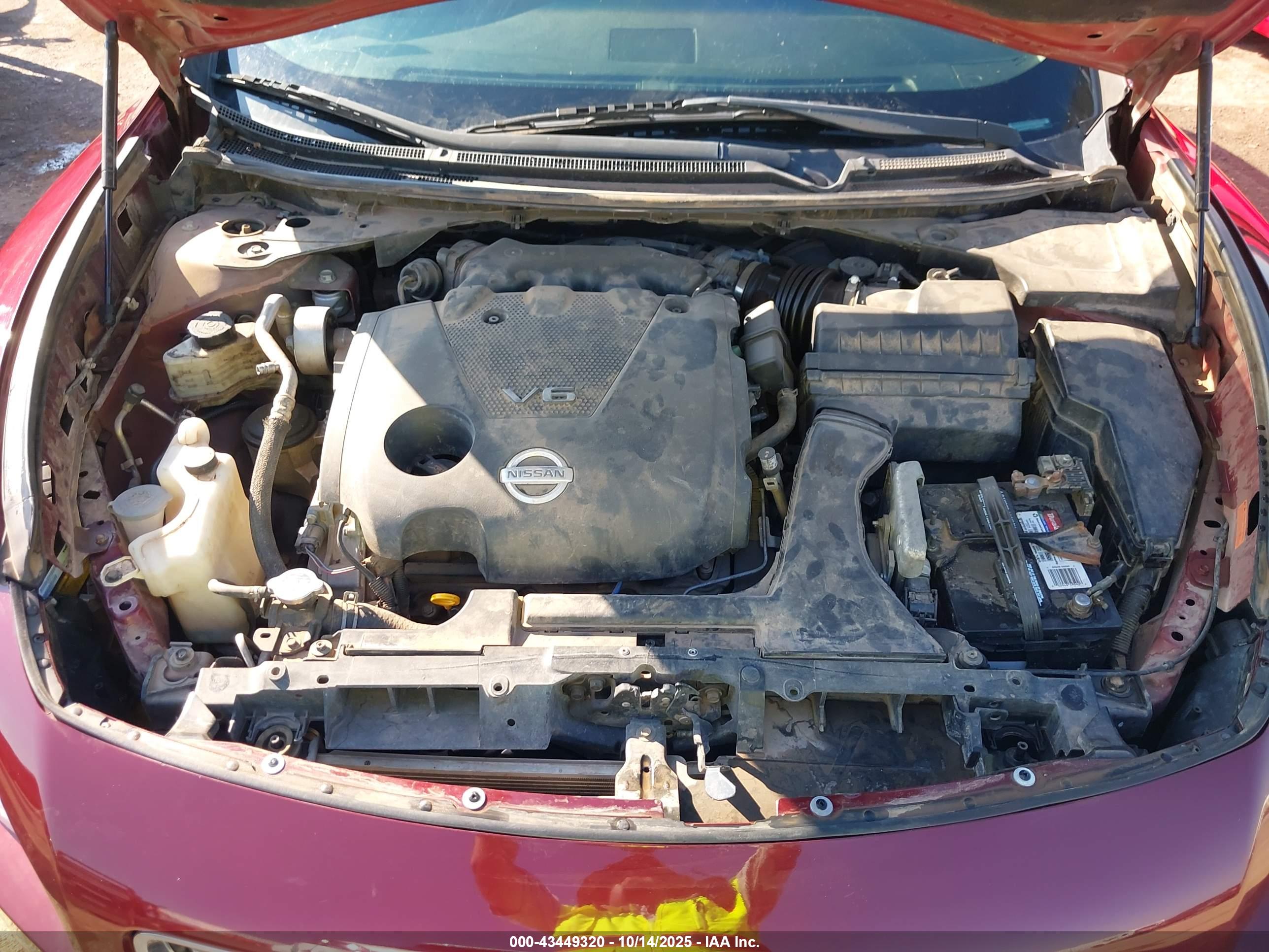 NISSAN MAXIMA image 10