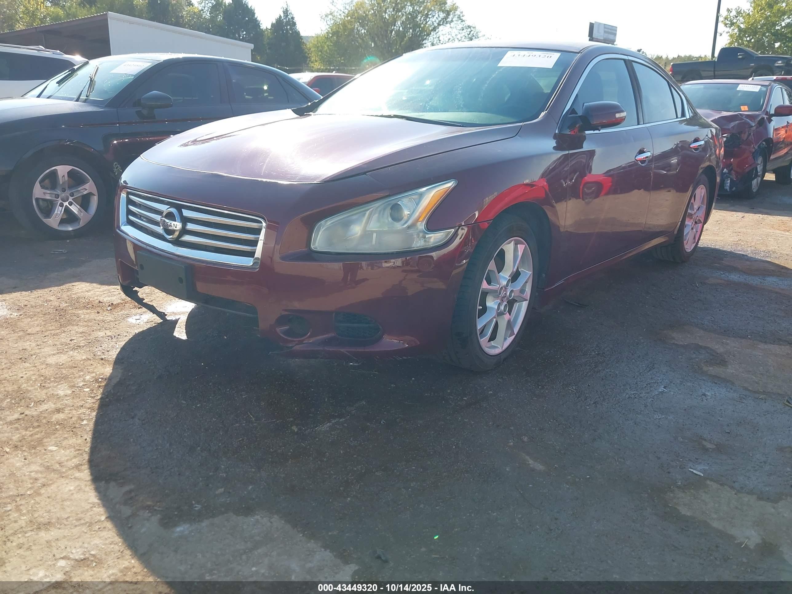 NISSAN MAXIMA image 2