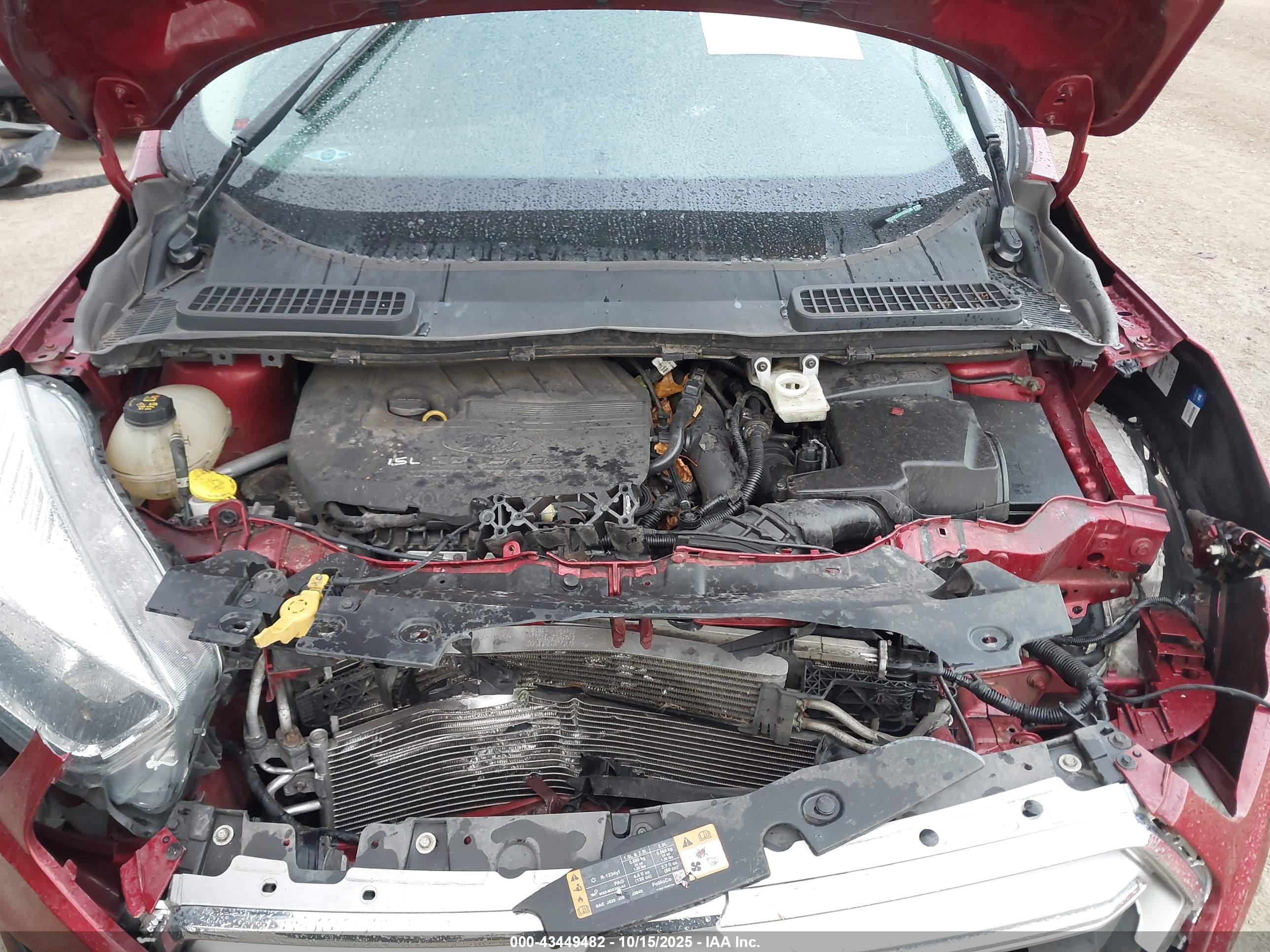 FORD ESCAPE image 10