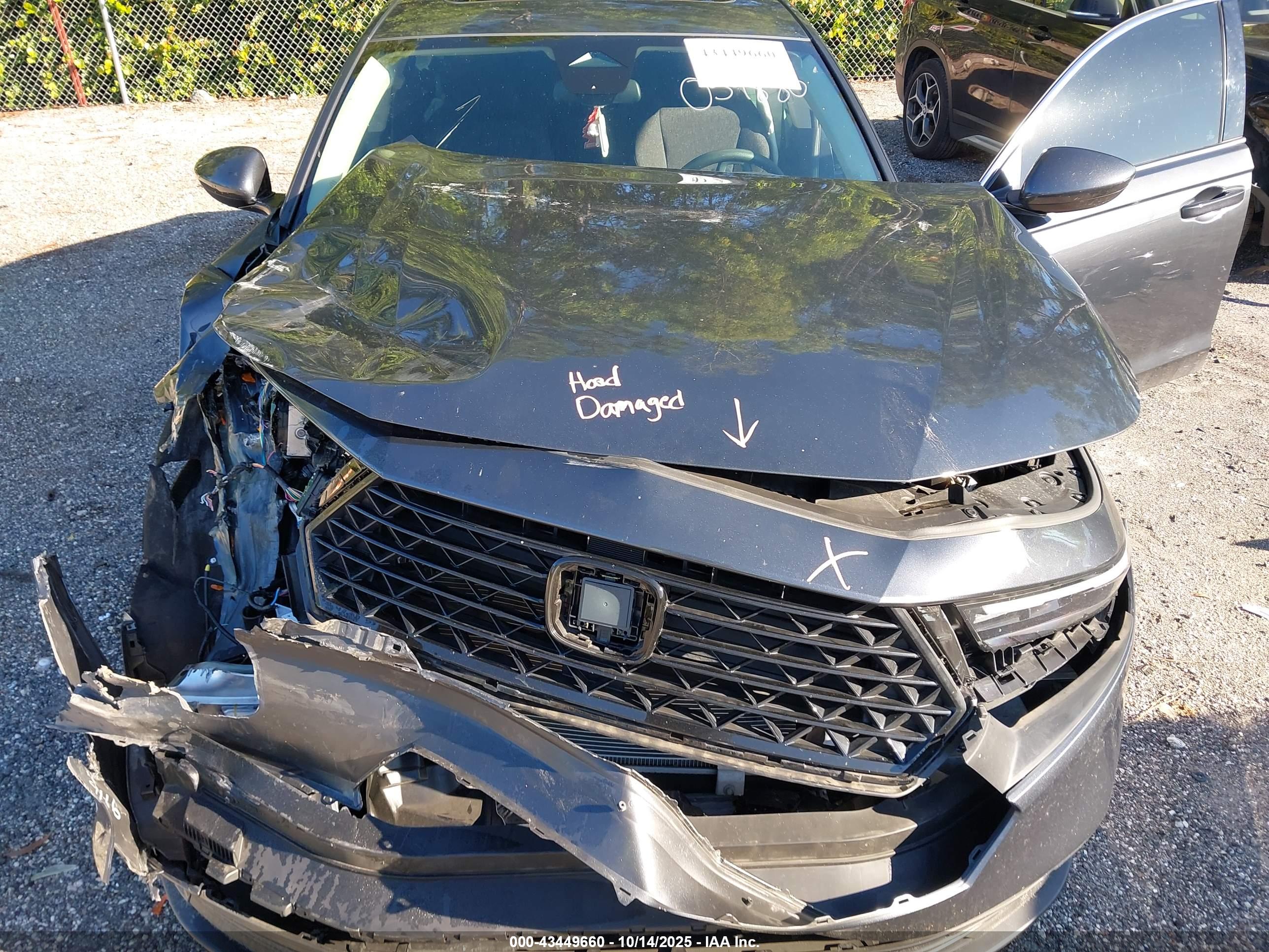 HONDA ACCORD image 10