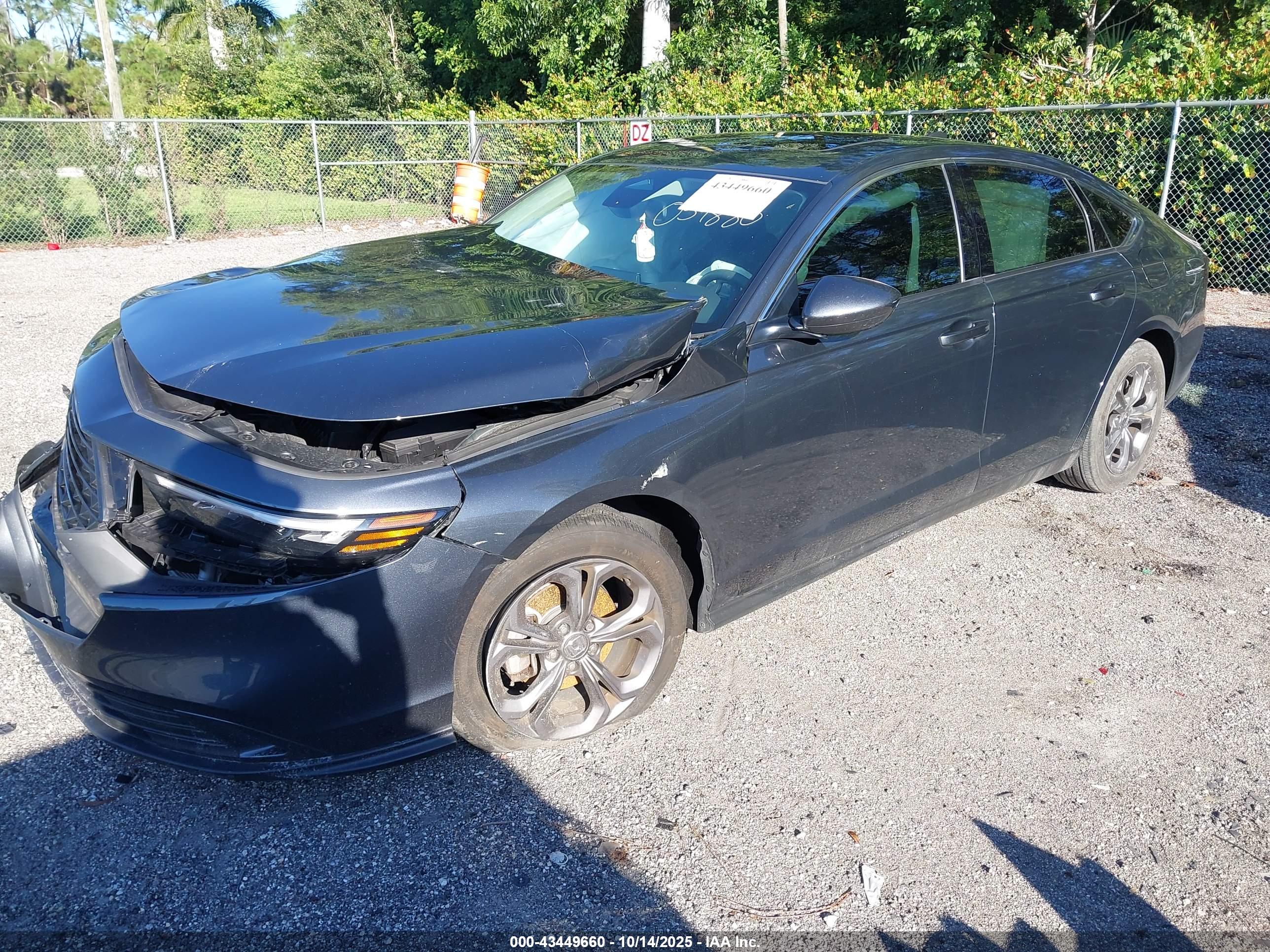 HONDA ACCORD image 2