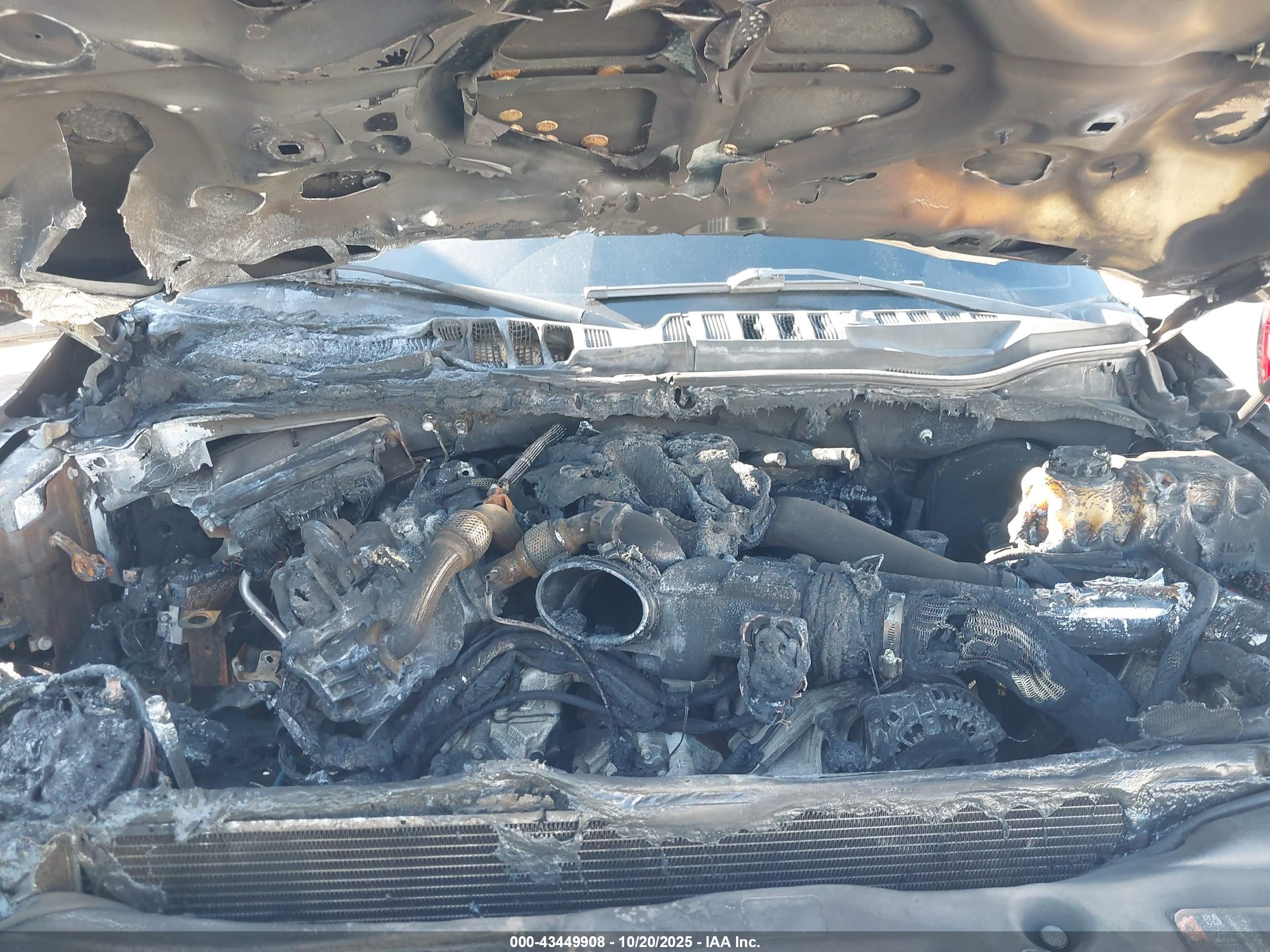 FORD F-250 image 10