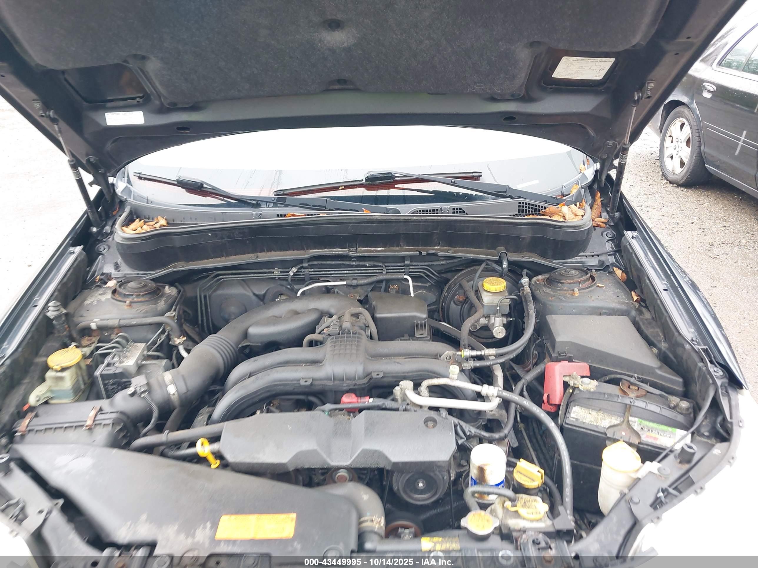SUBARU FORESTER image 10