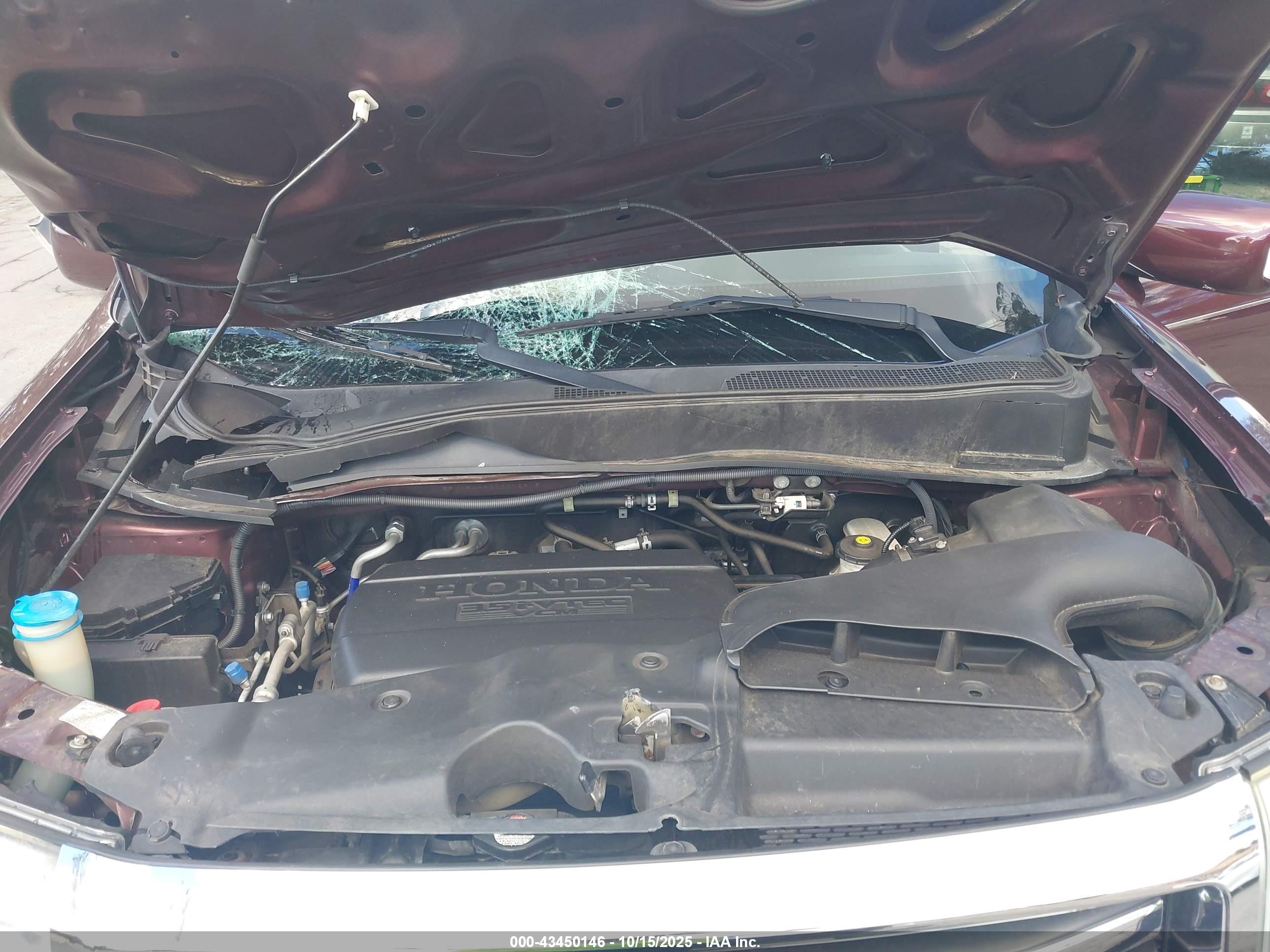 HONDA PILOT image 10