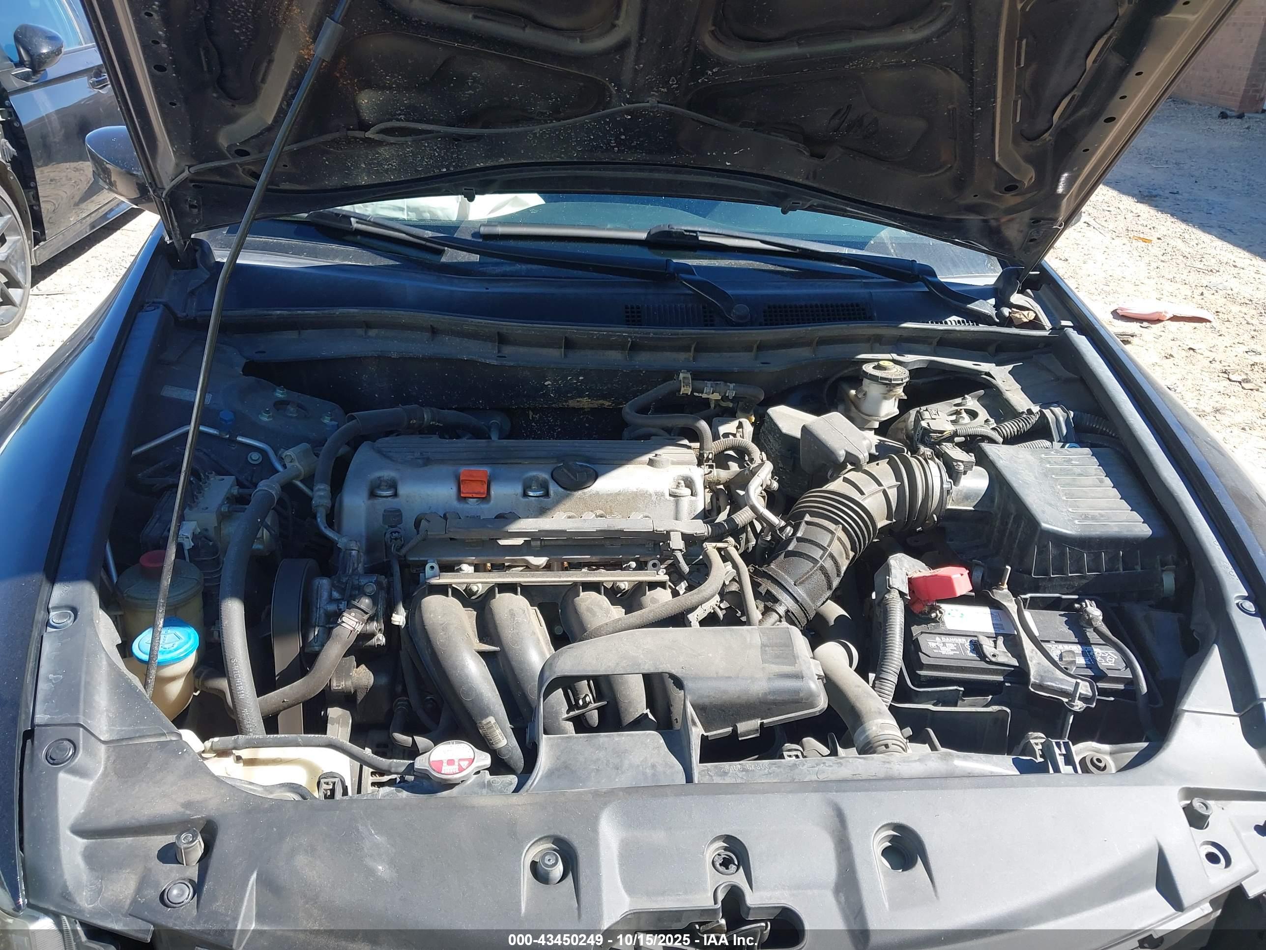 HONDA ACCORD image 10