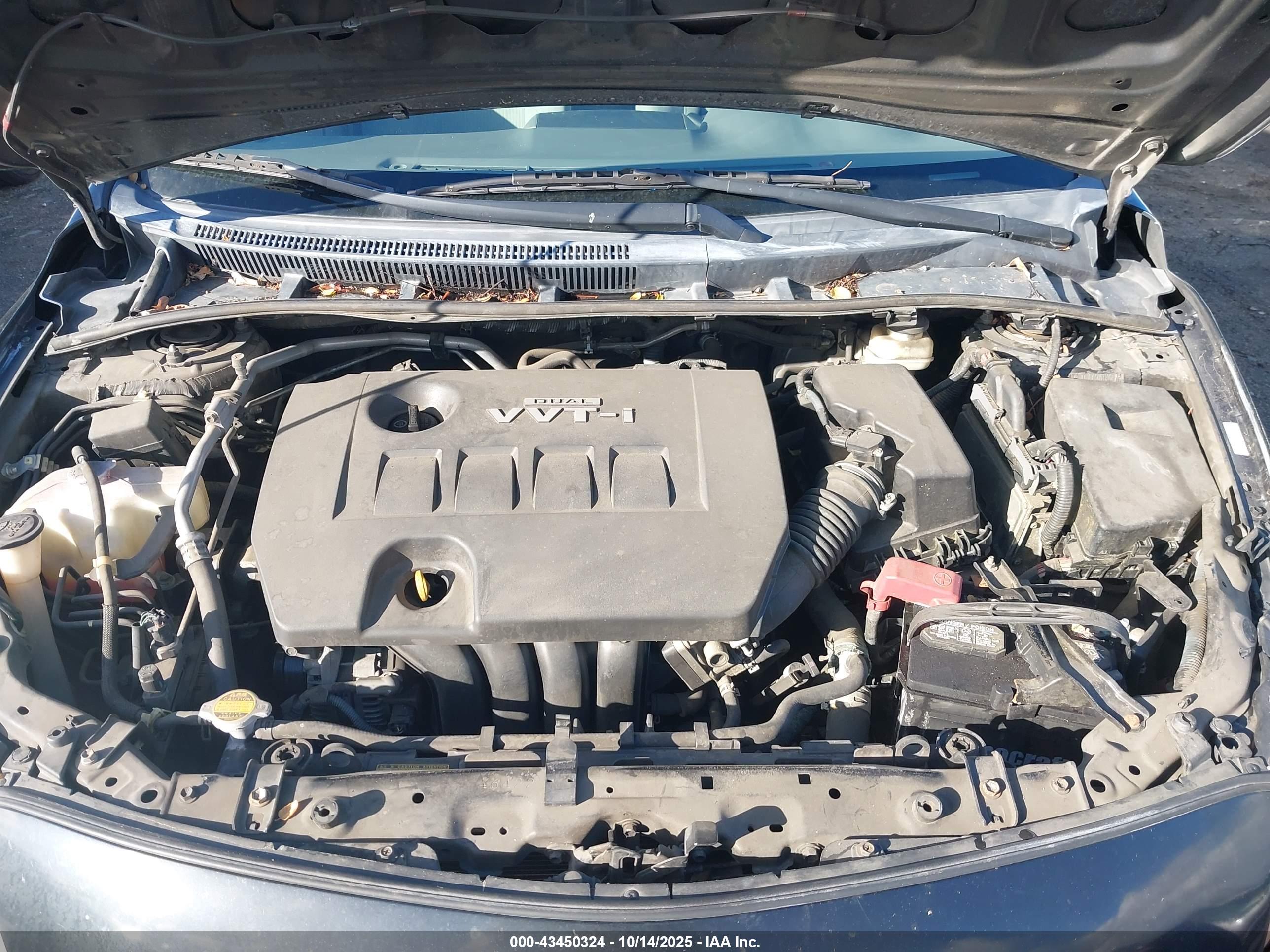 TOYOTA COROLLA image 10