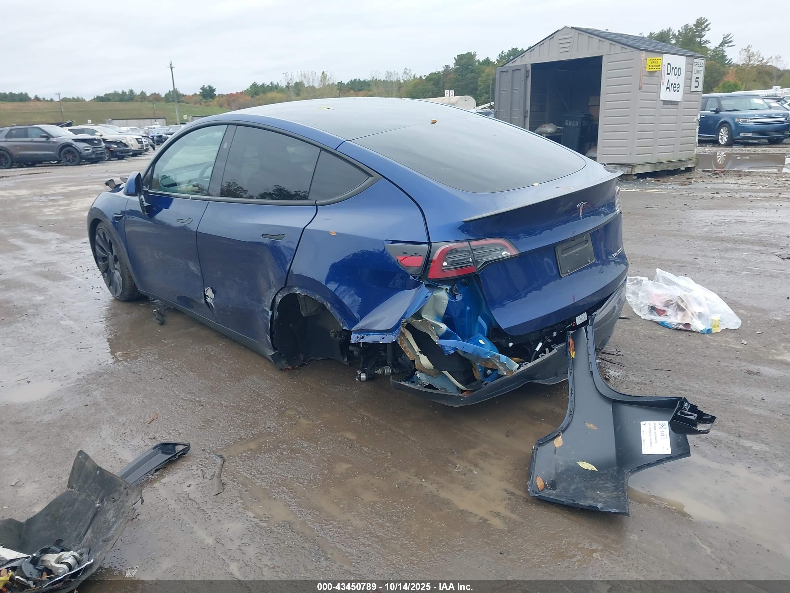 TESLA MODEL image 3