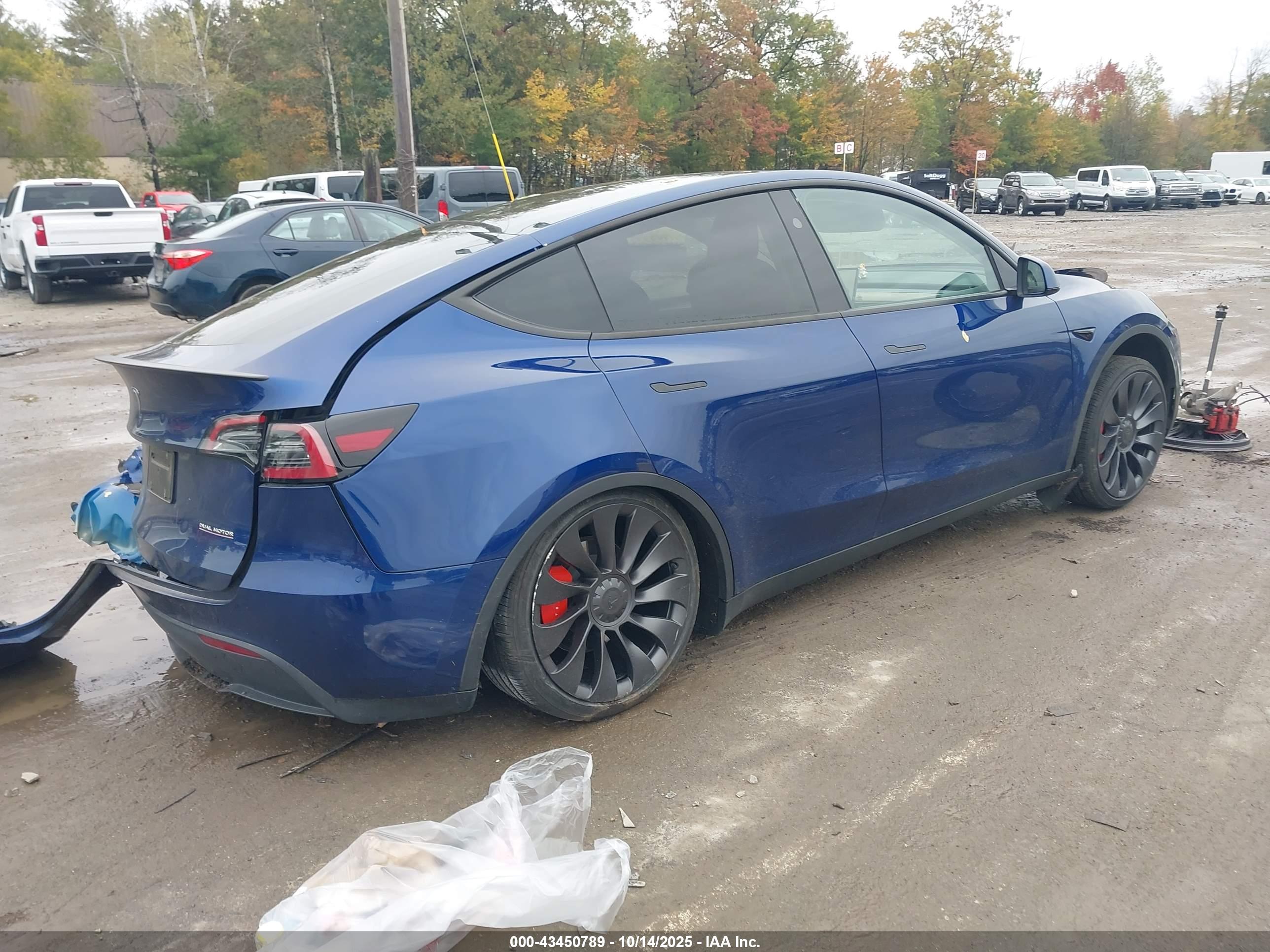TESLA MODEL image 4