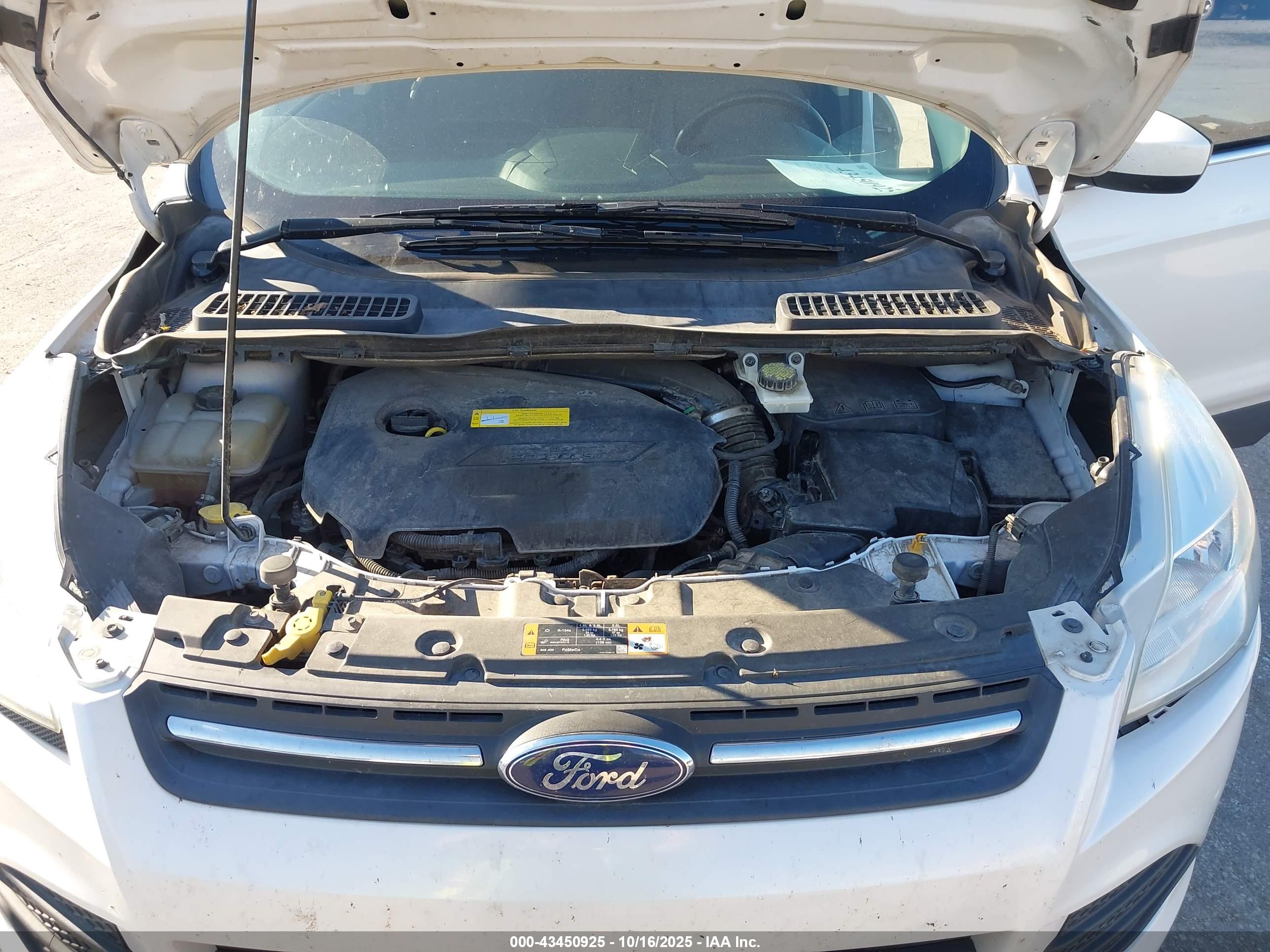FORD ESCAPE image 10