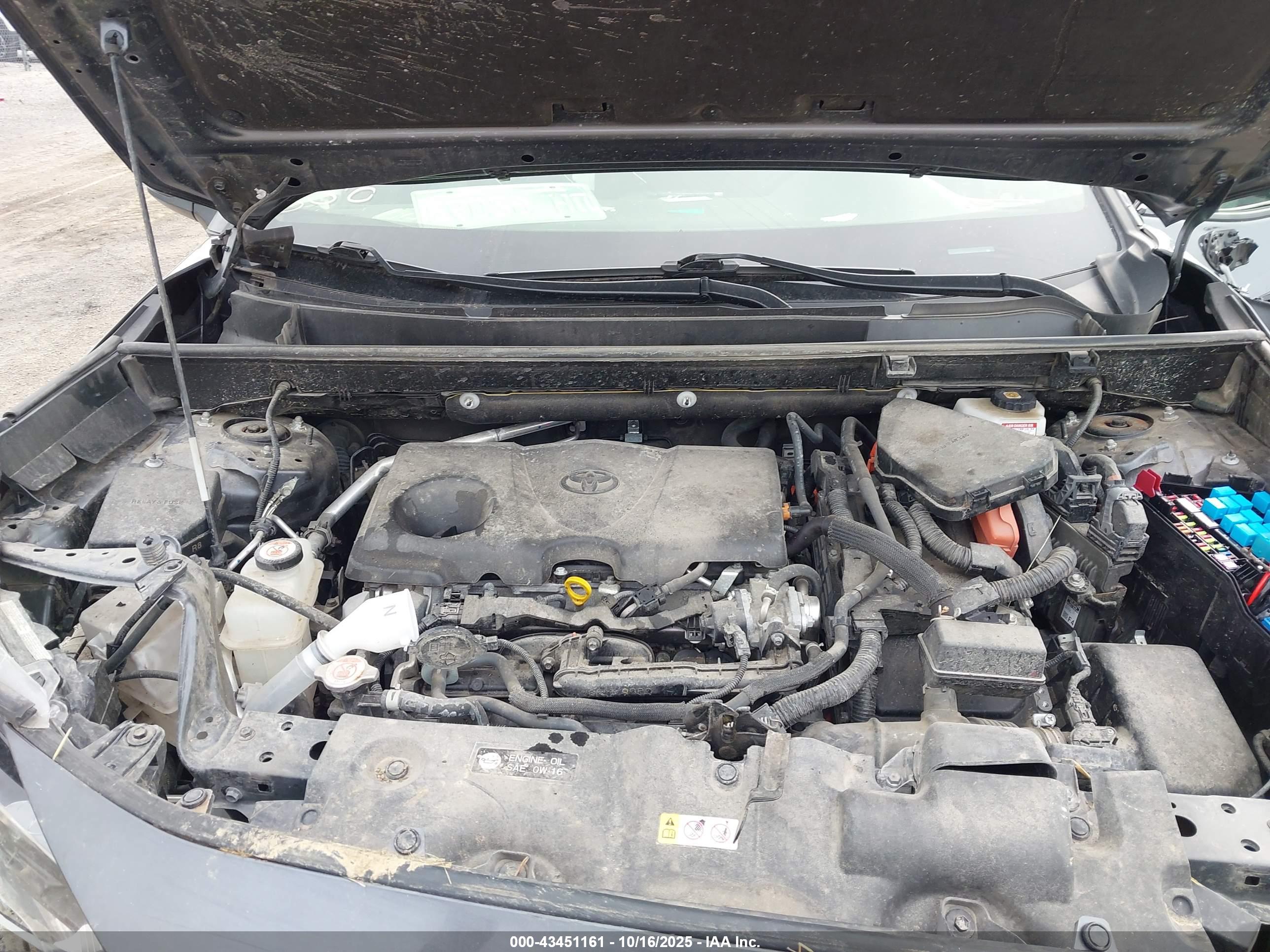TOYOTA RAV4 image 10