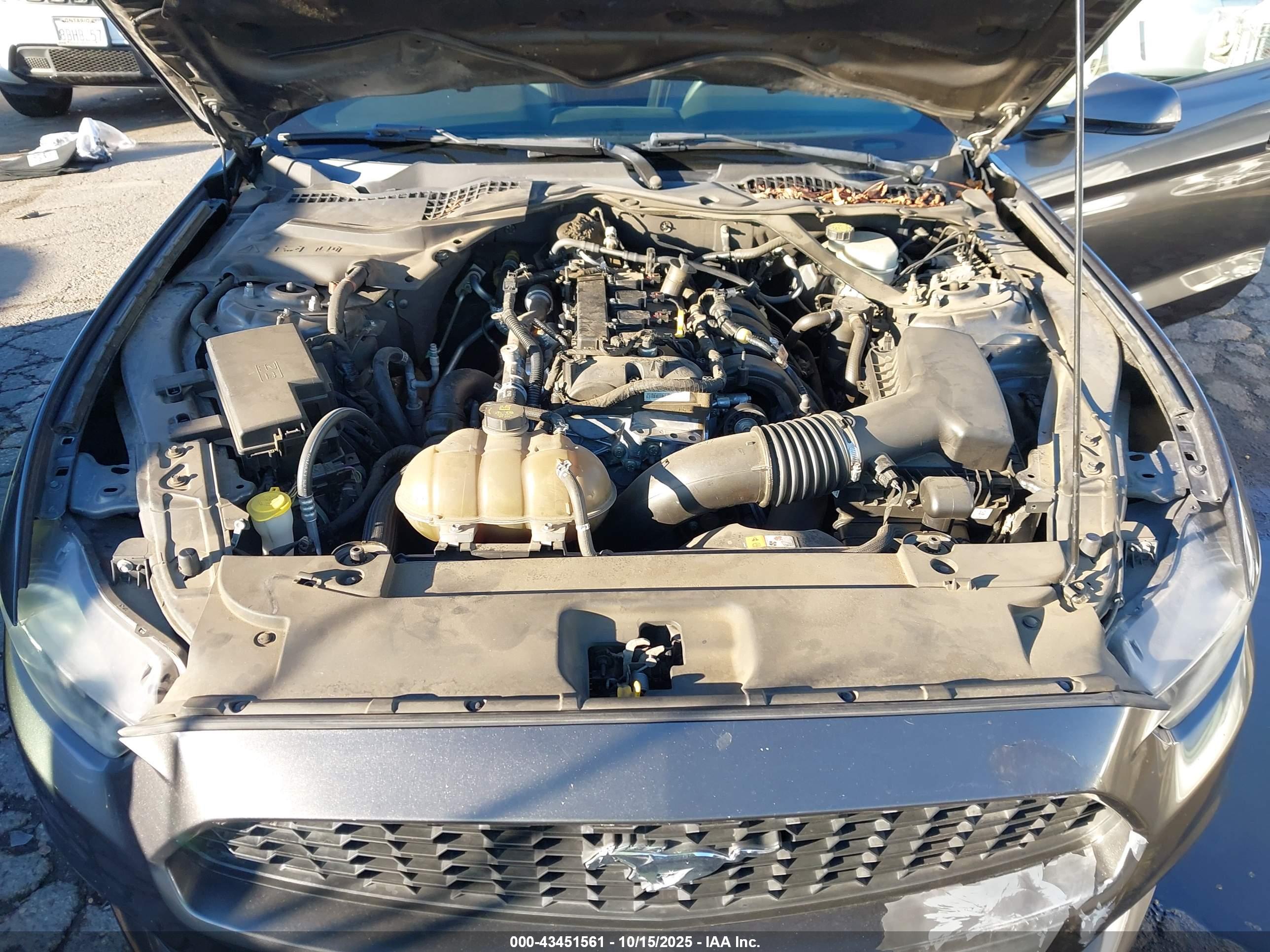 FORD MUSTANG image 10