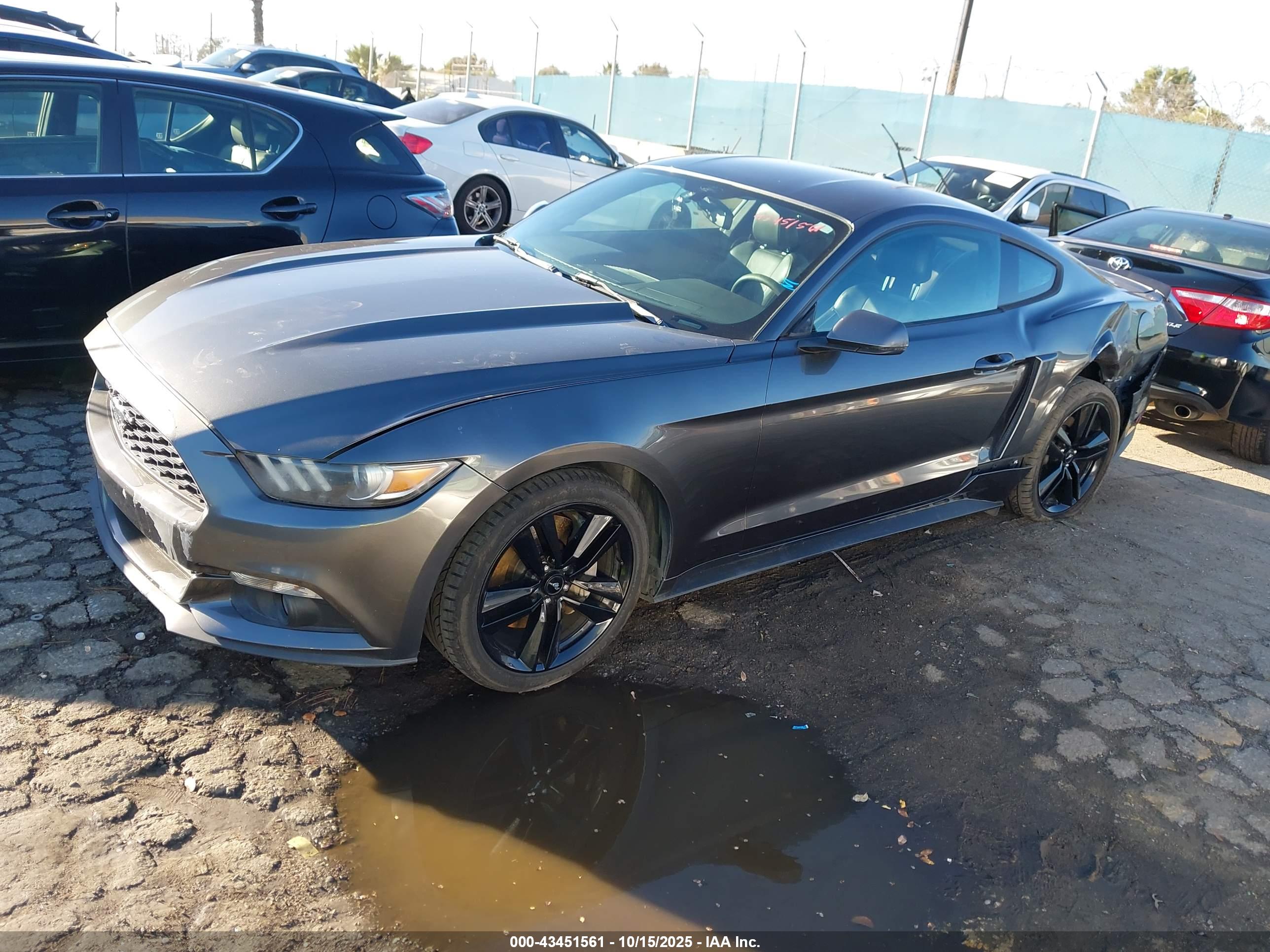 FORD MUSTANG image 2