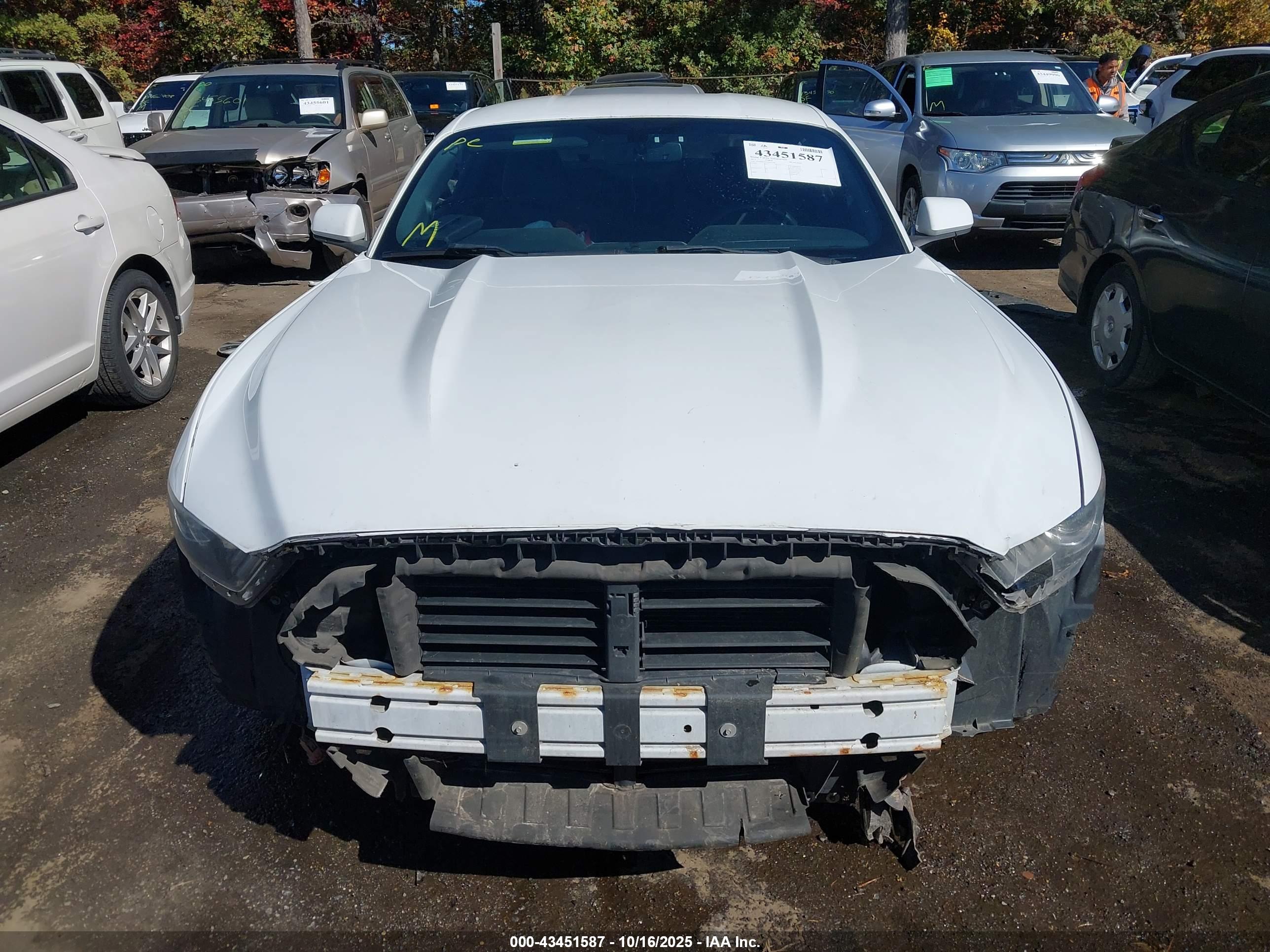 FORD MUSTANG image 10