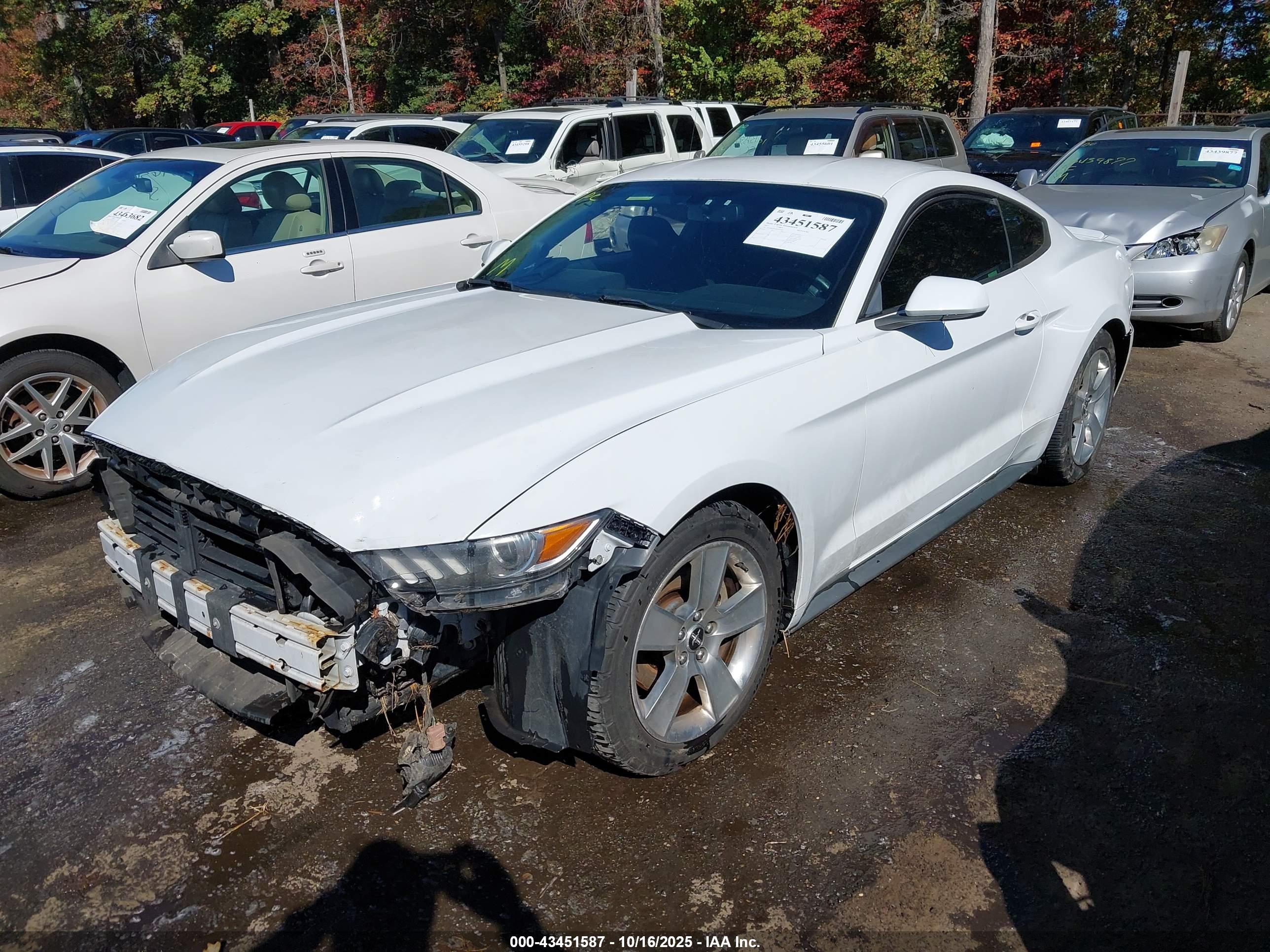 FORD MUSTANG image 2