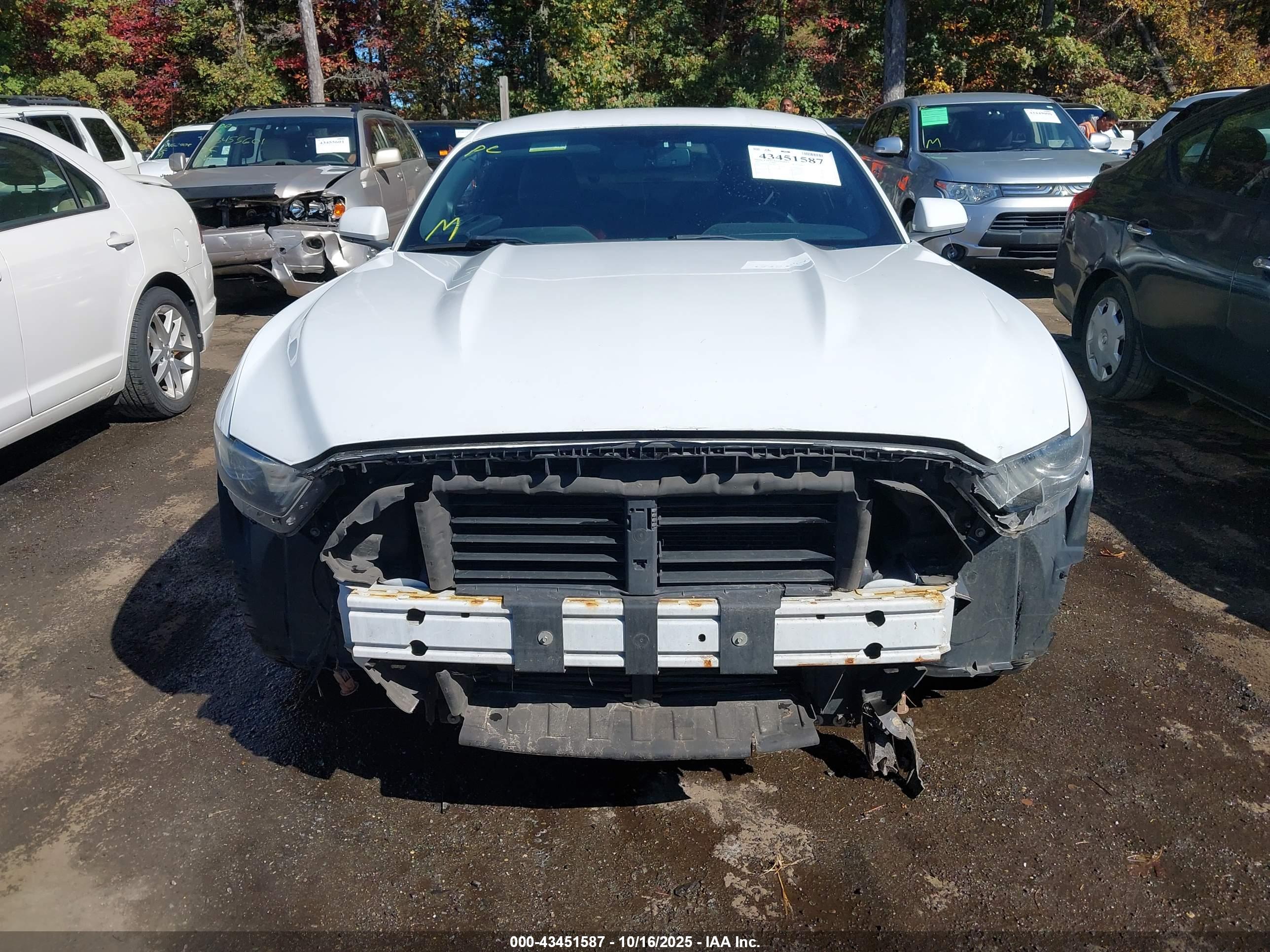 FORD MUSTANG image 6
