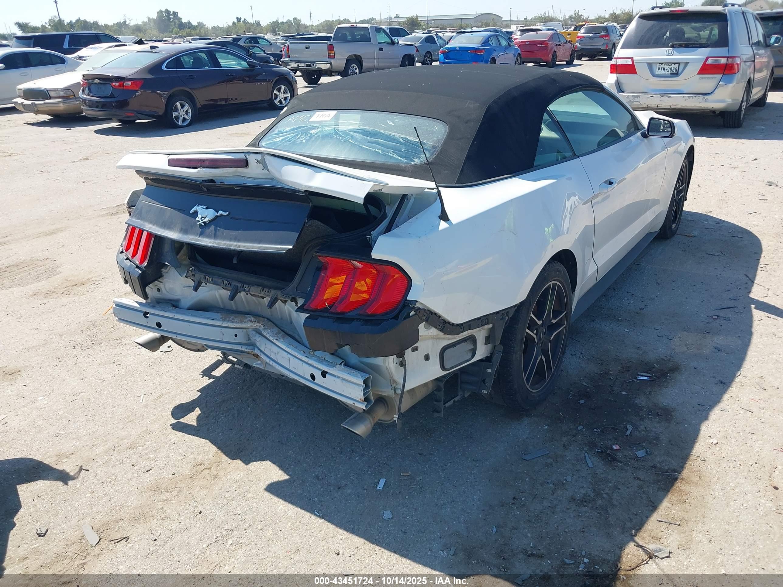 FORD MUSTANG image 4