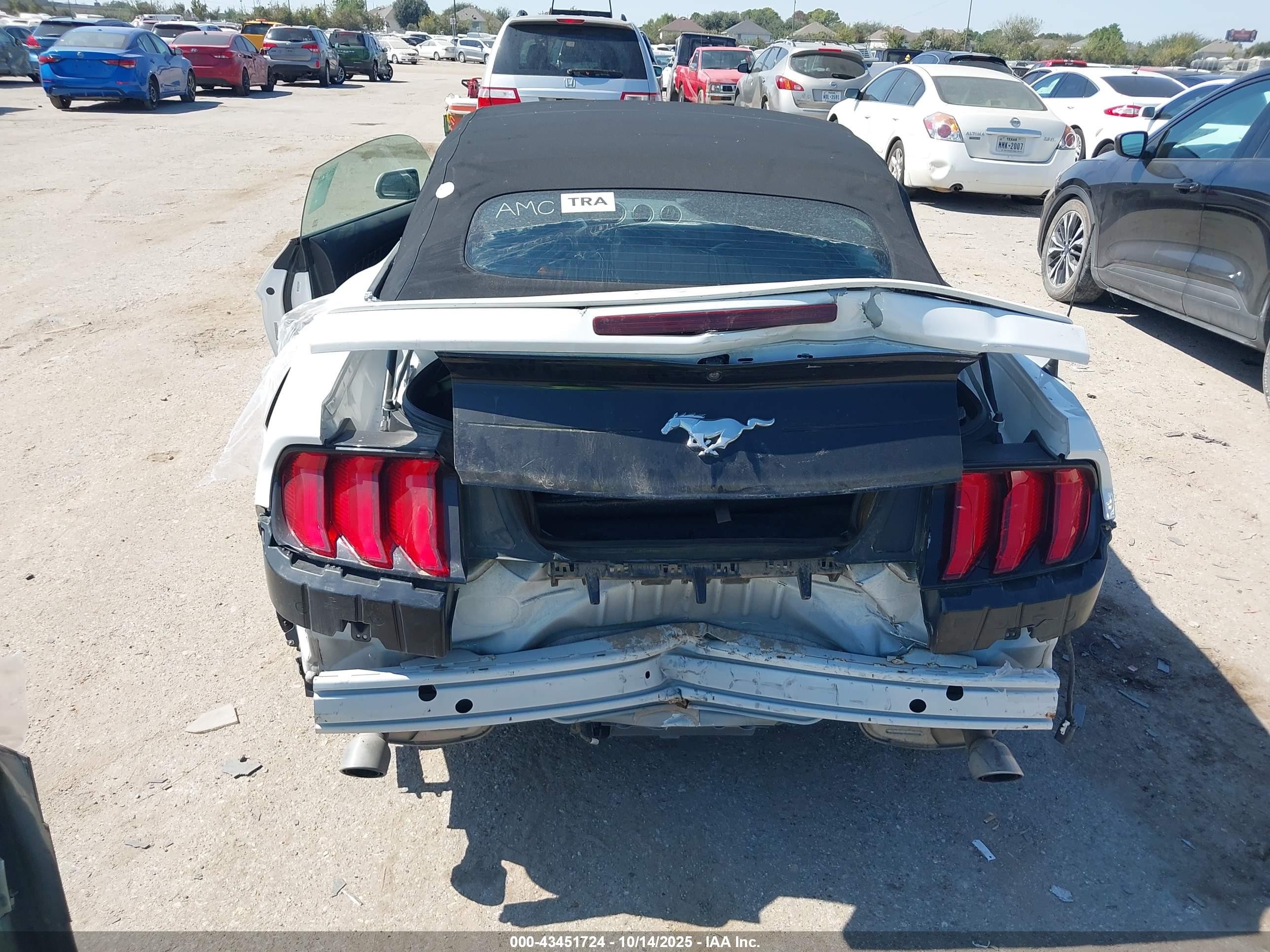 FORD MUSTANG image 6