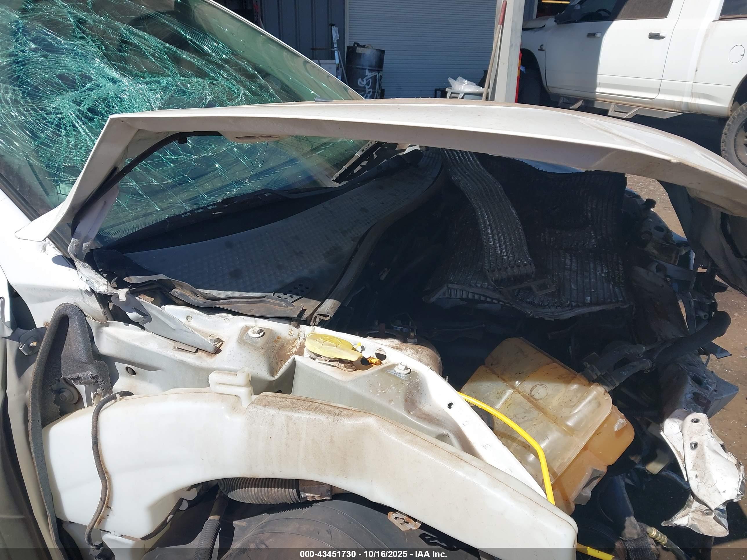 FORD FOCUS image 10