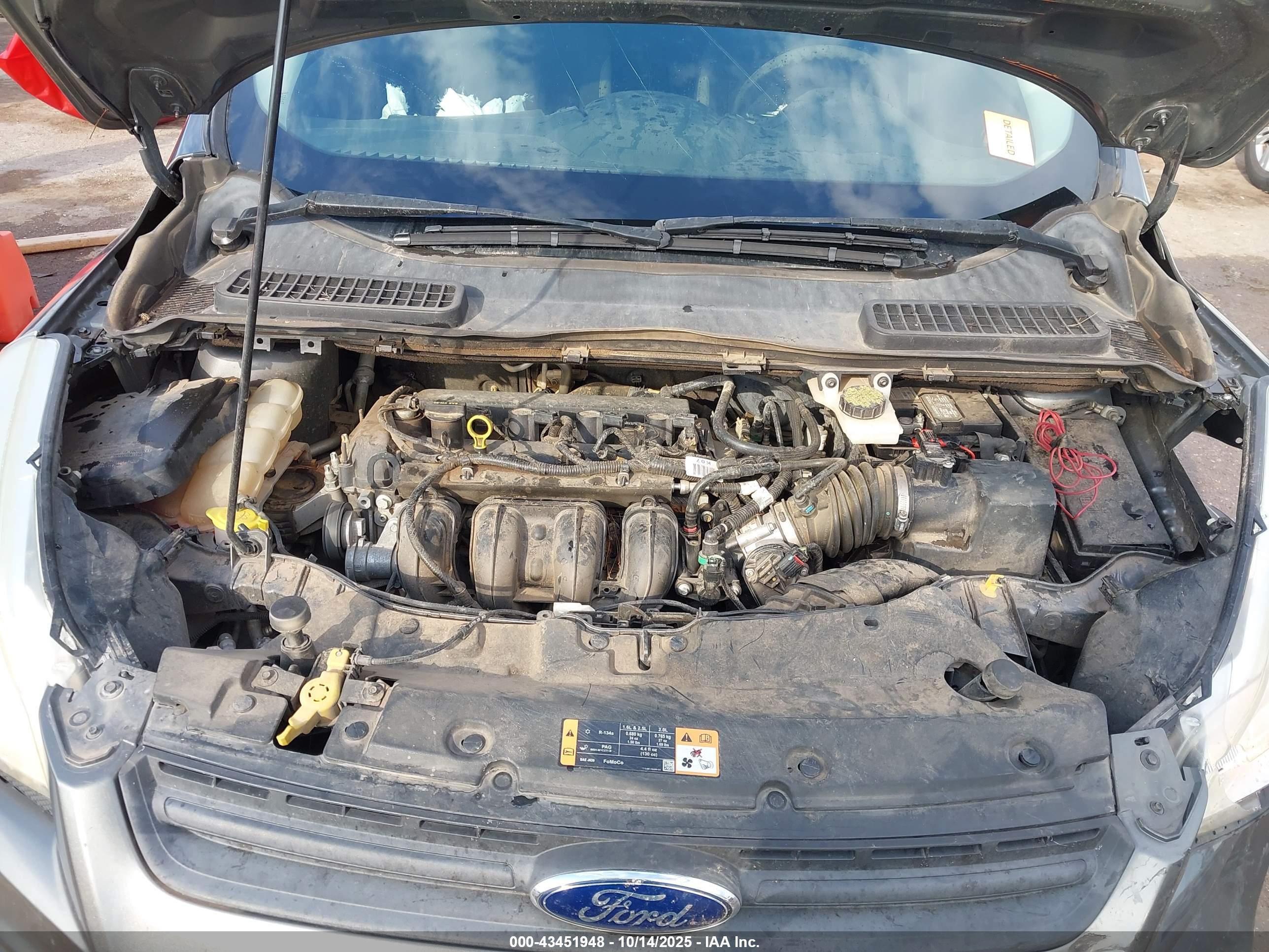 FORD ESCAPE image 10