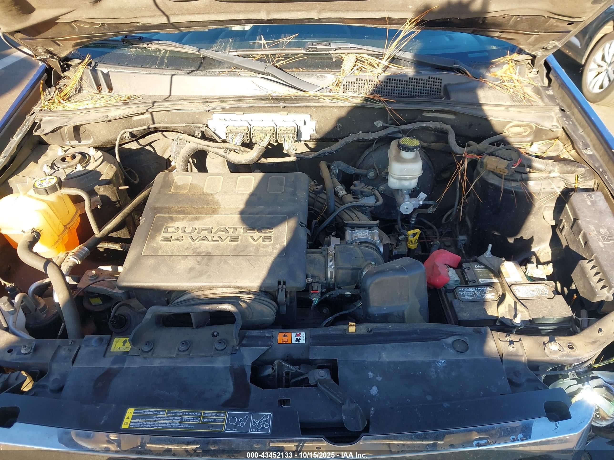 FORD ESCAPE image 10