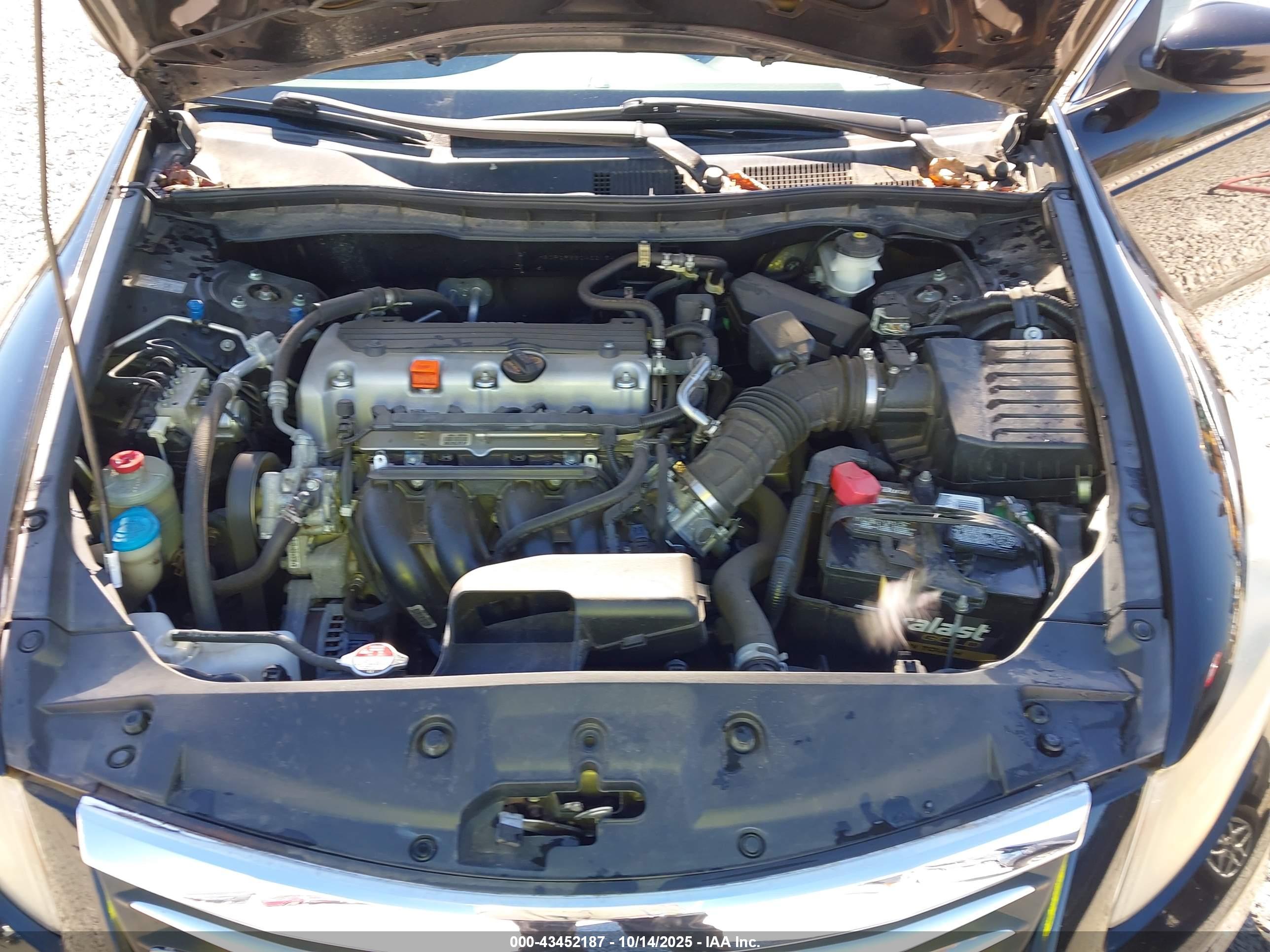 HONDA ACCORD image 10