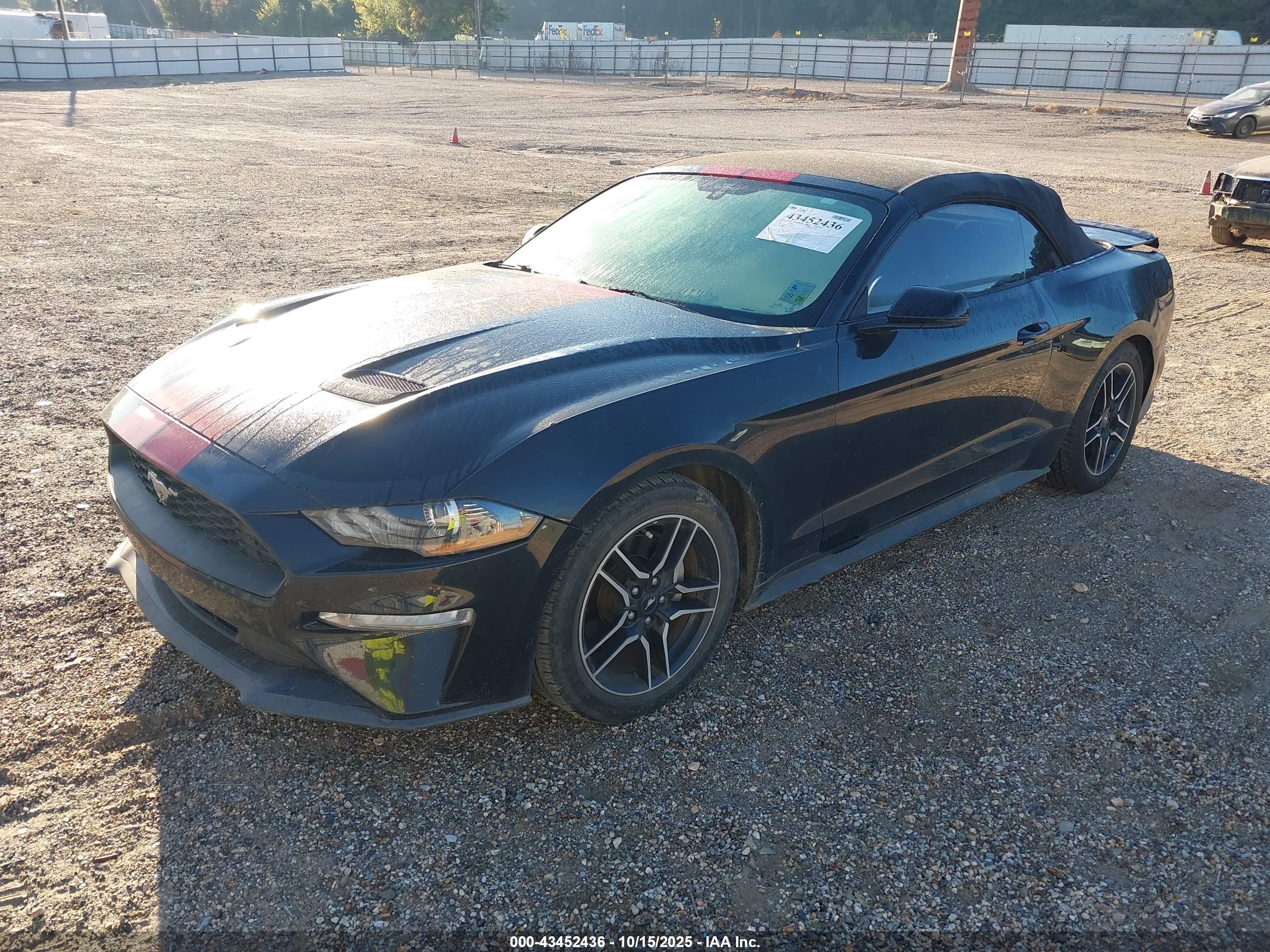 FORD MUSTANG image 2