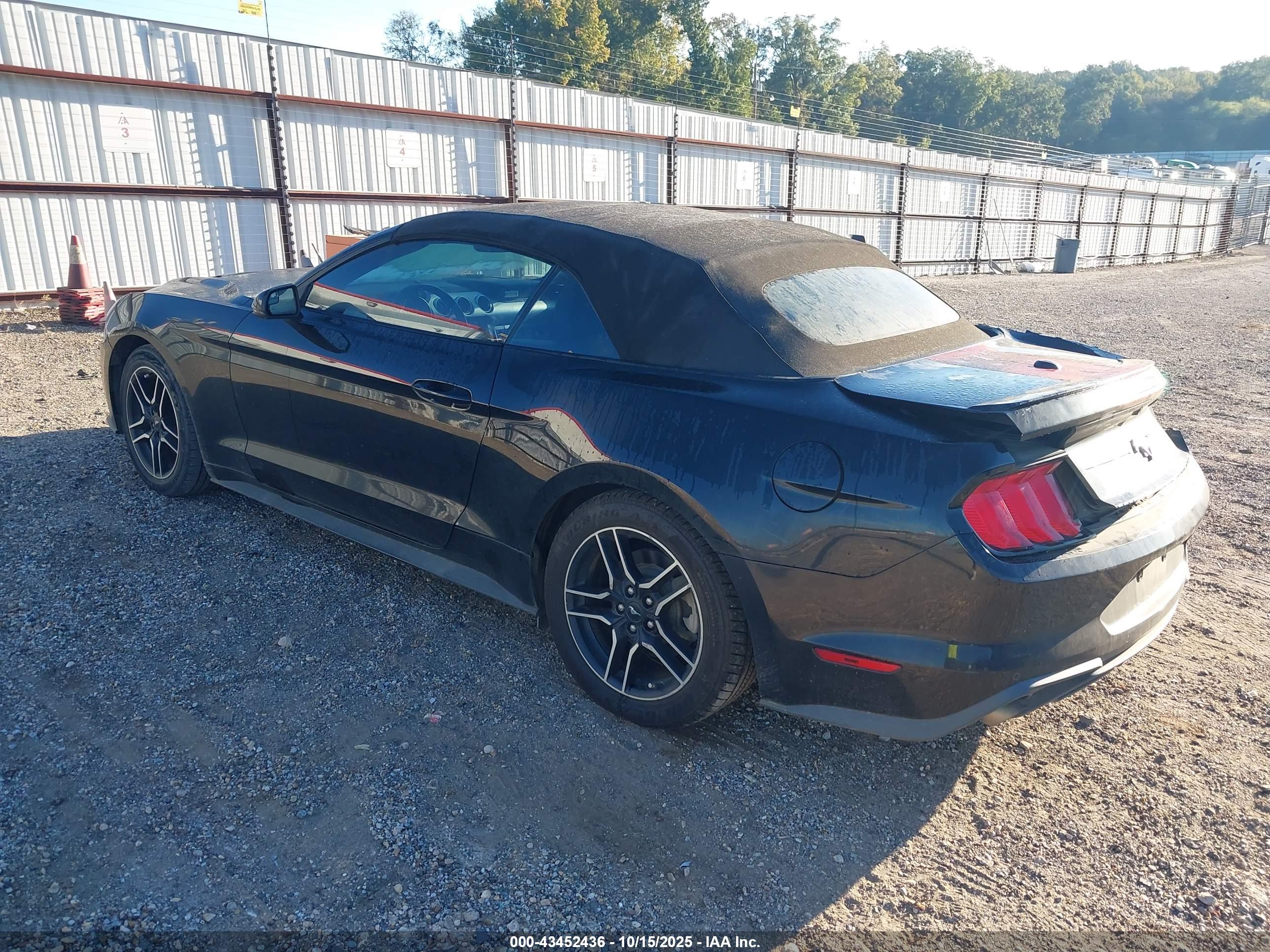 FORD MUSTANG image 3