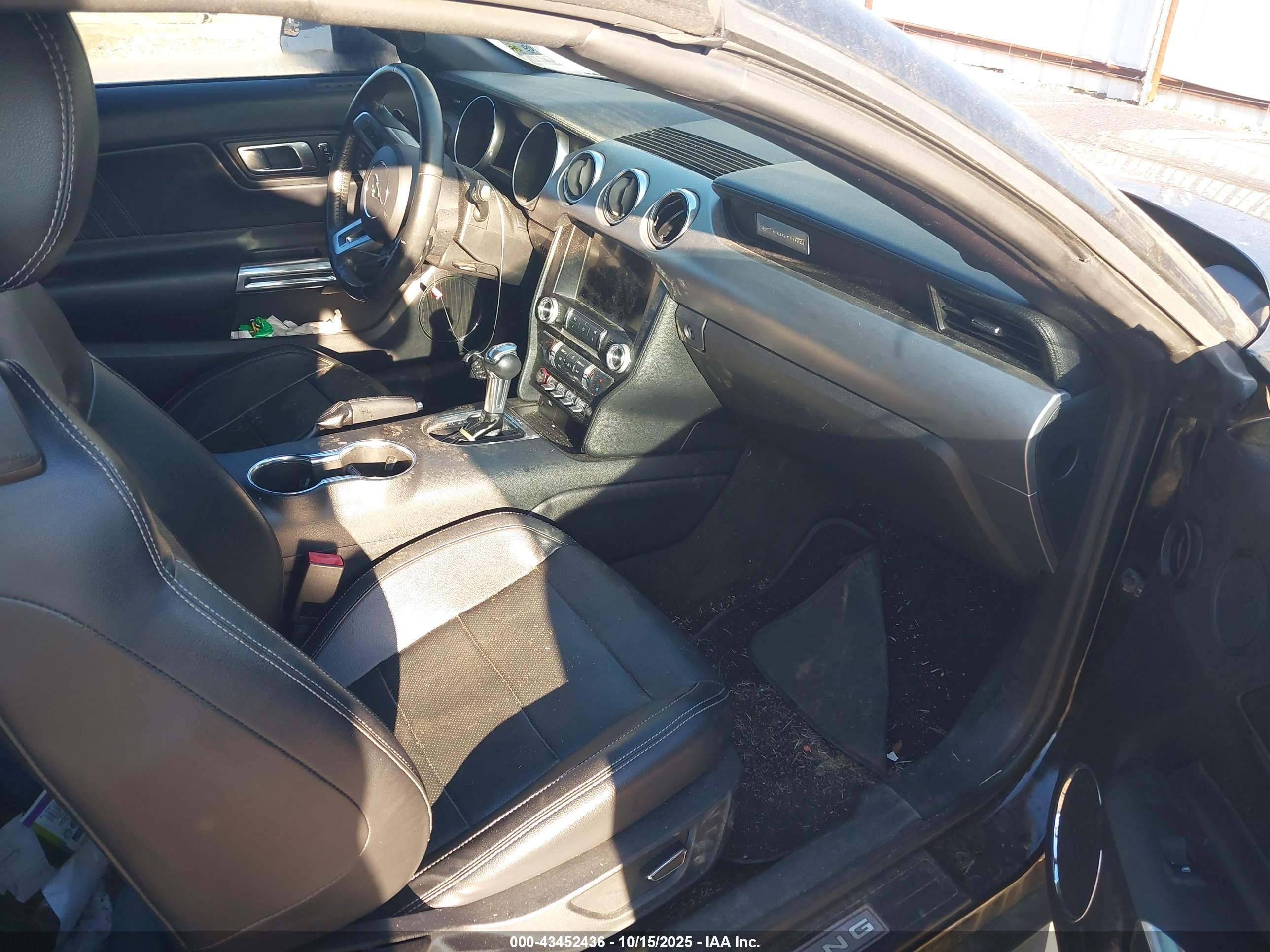 FORD MUSTANG image 5
