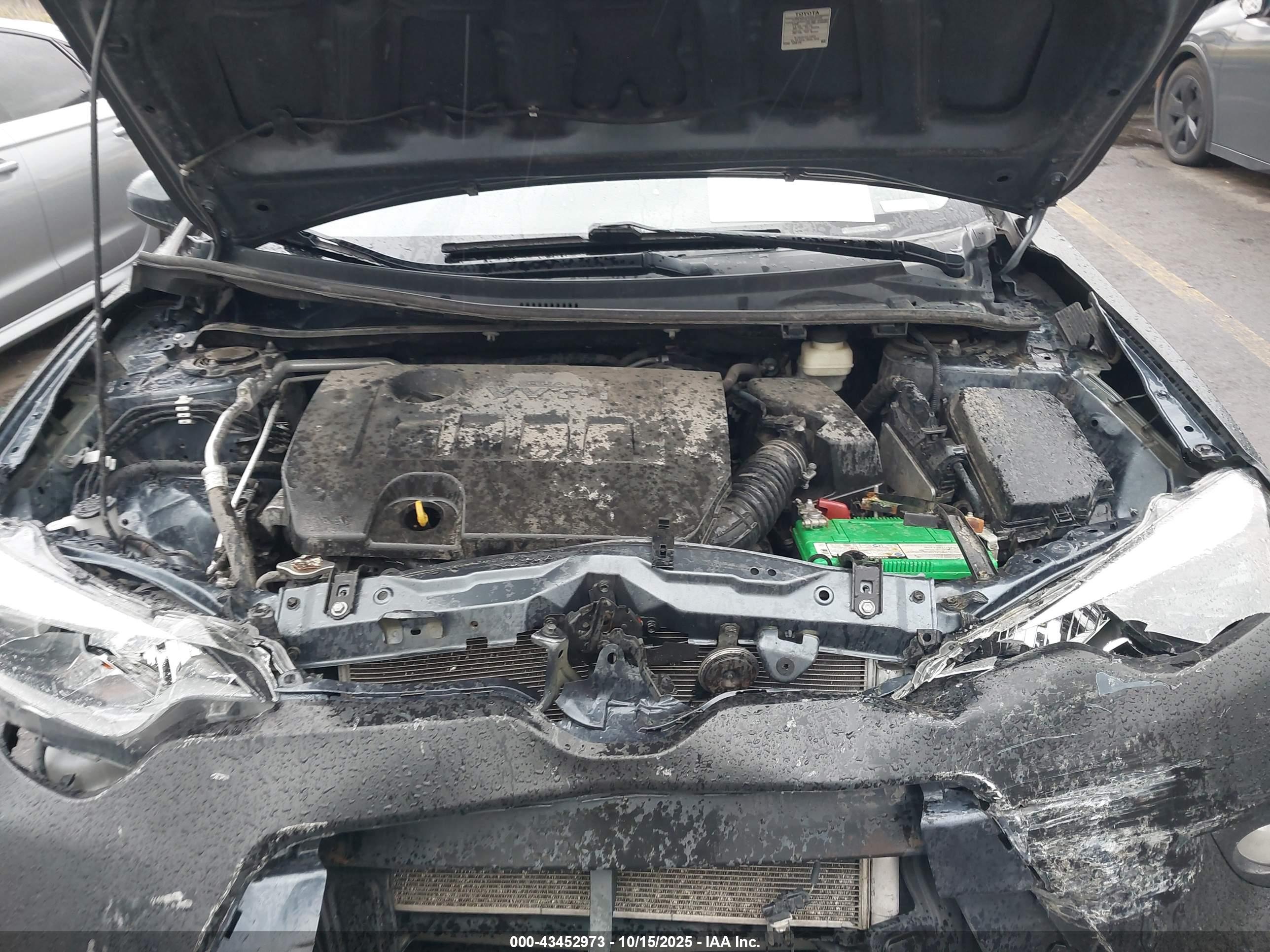 TOYOTA COROLLA image 10