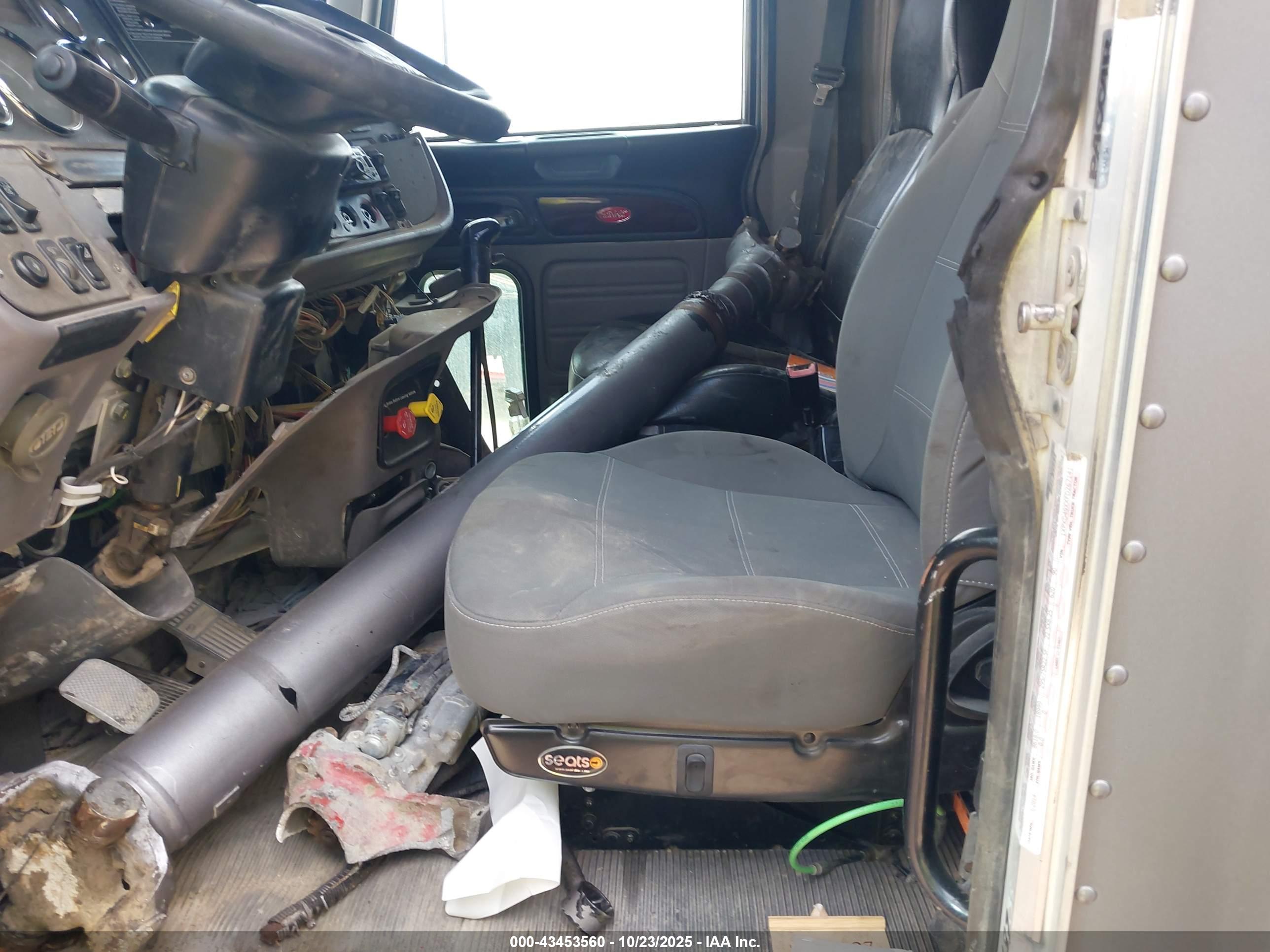 PETERBILT 389 image 8