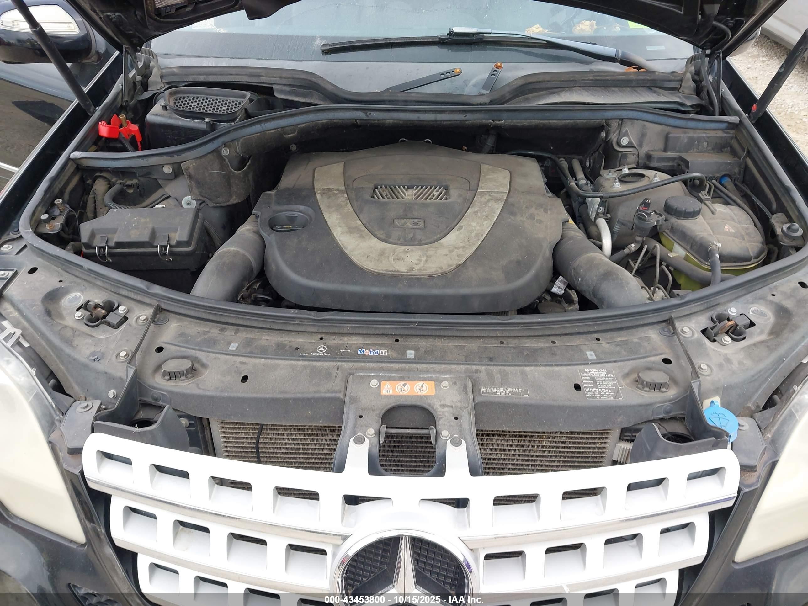 MERCEDES-BENZ ML image 10