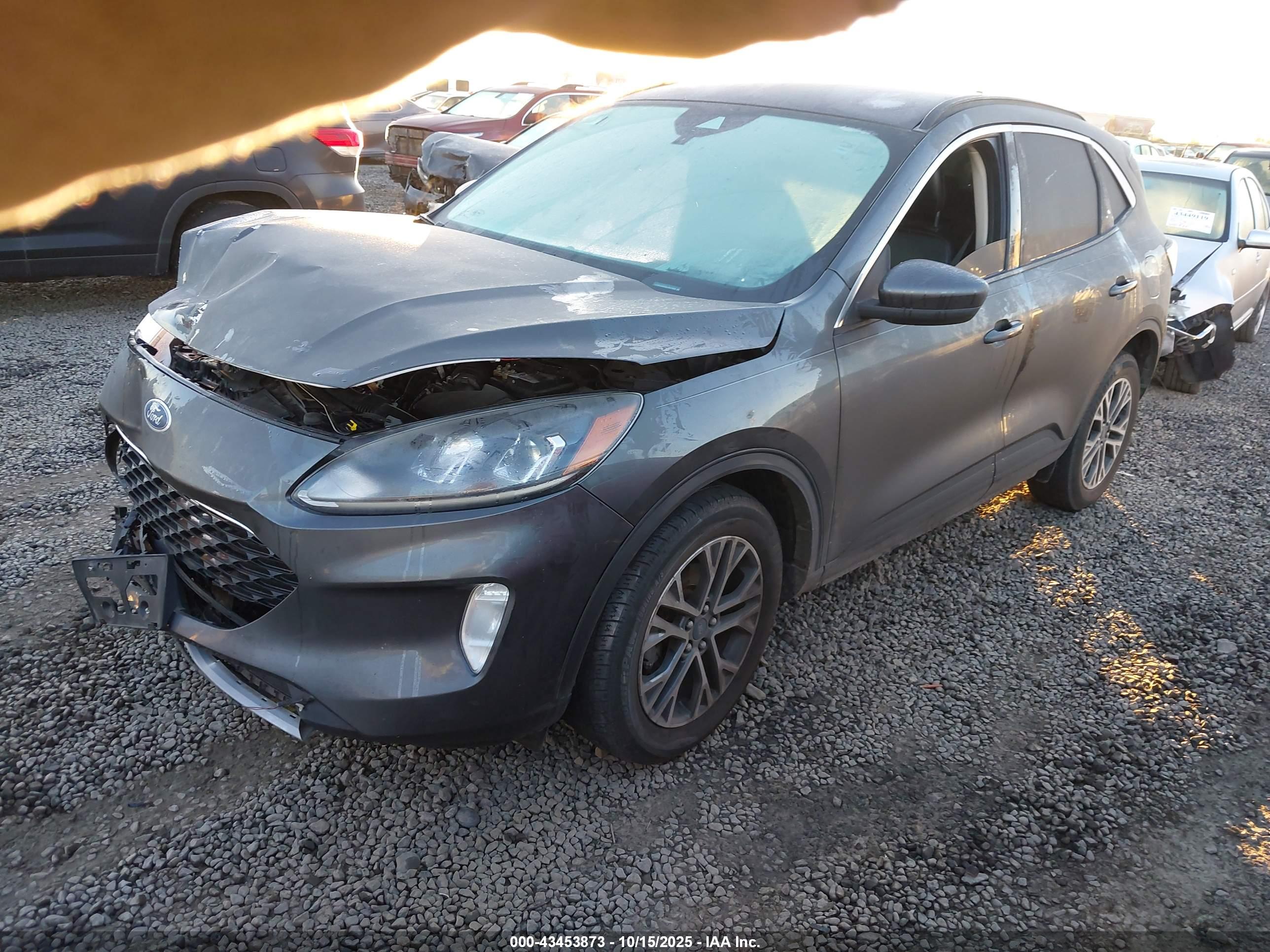 FORD ESCAPE image 2