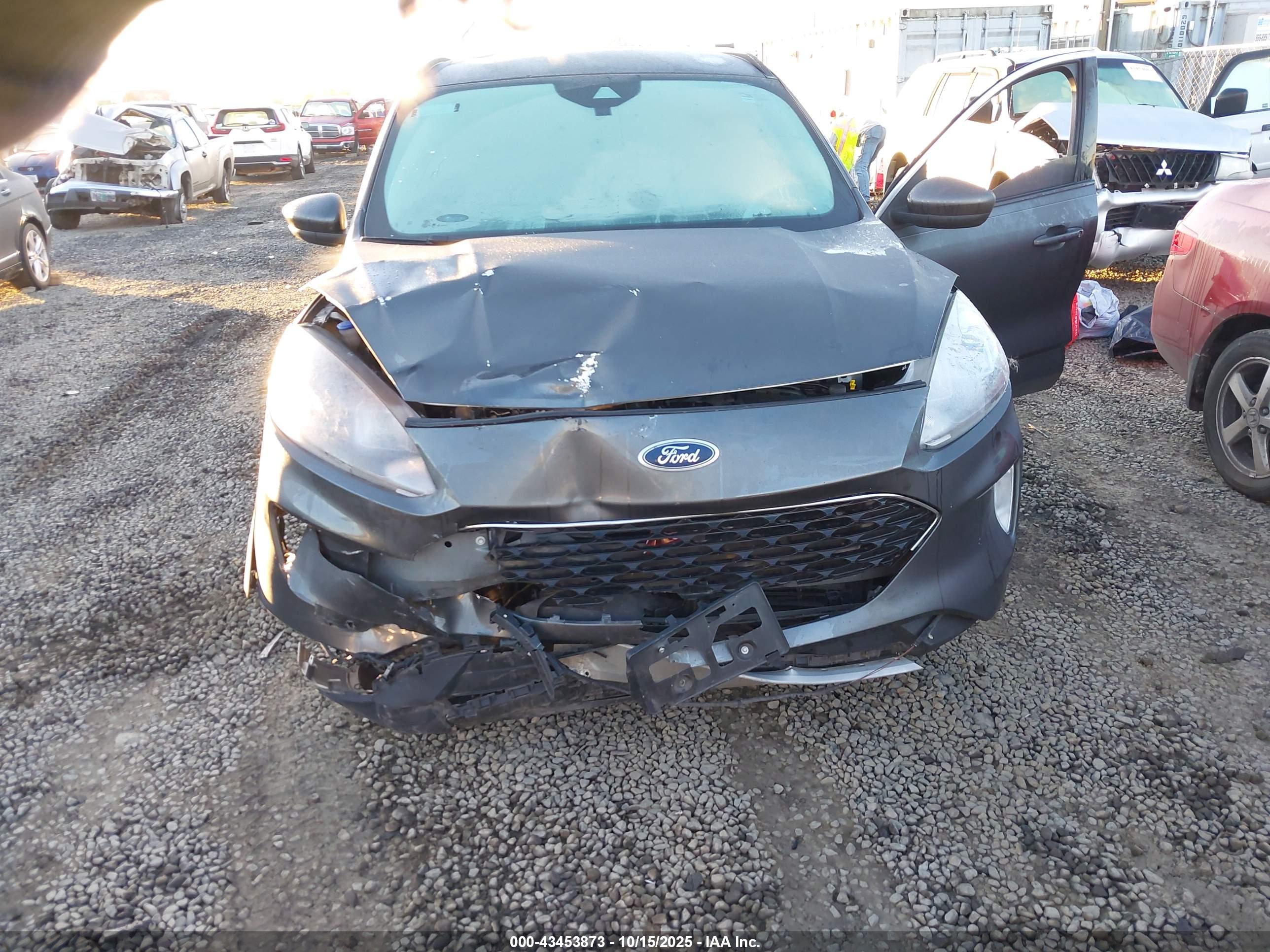 FORD ESCAPE image 6