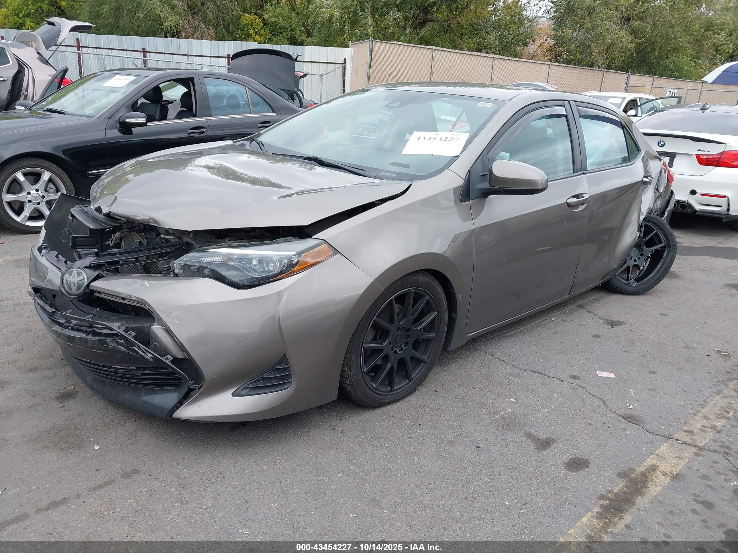 TOYOTA COROLLA image 2
