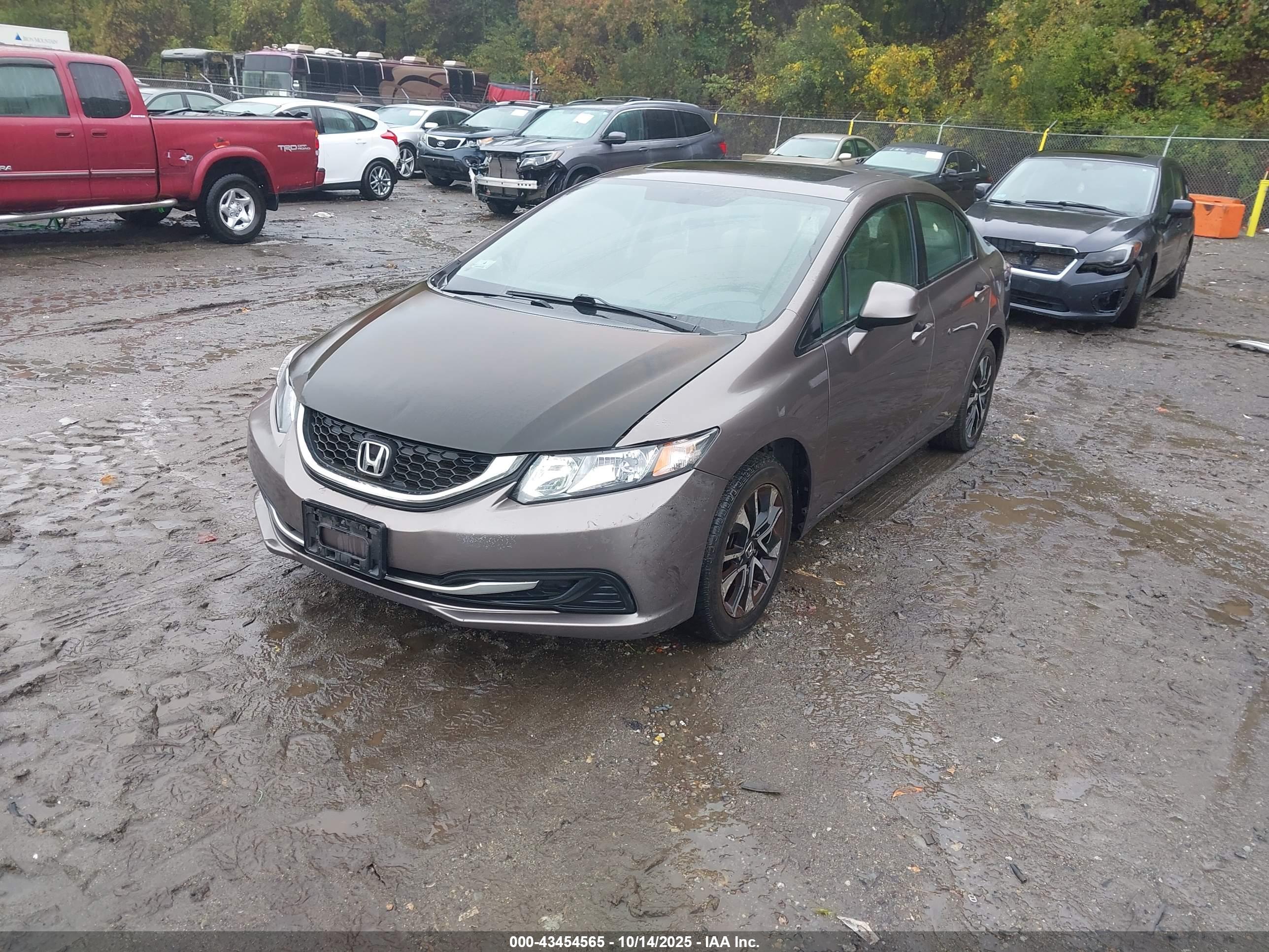 HONDA CIVIC image 2