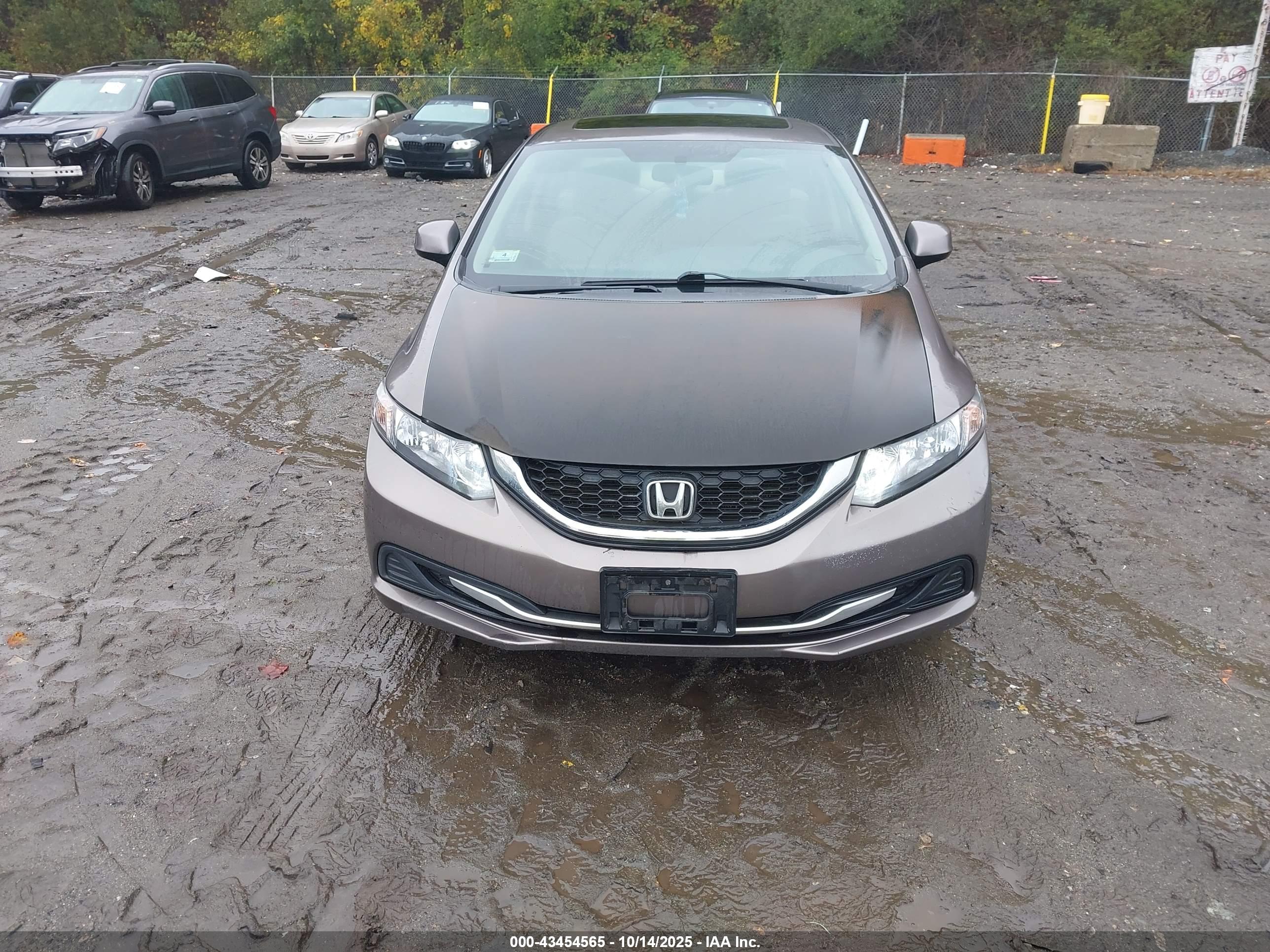 HONDA CIVIC image 6