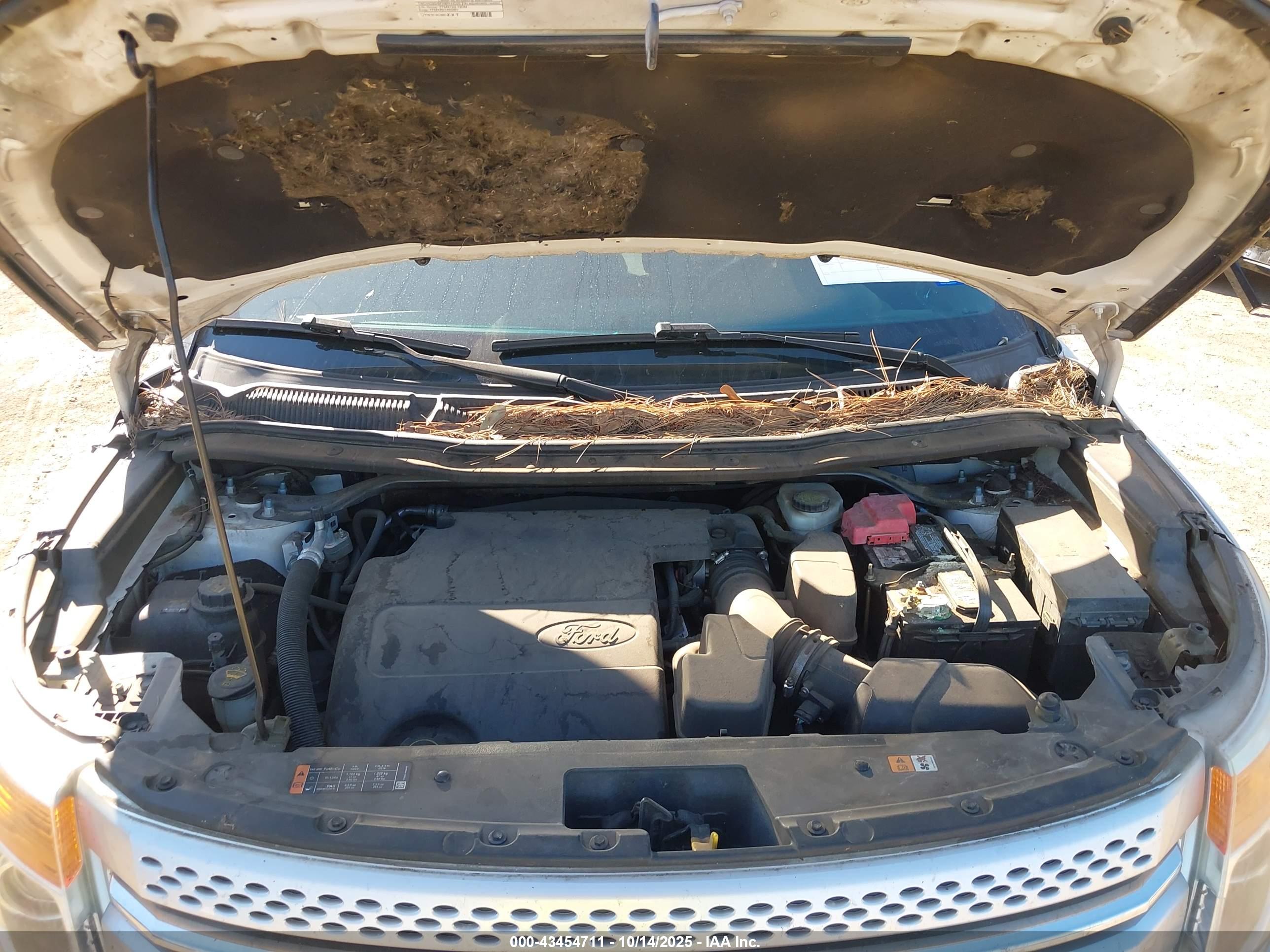 FORD EXPLORER image 10